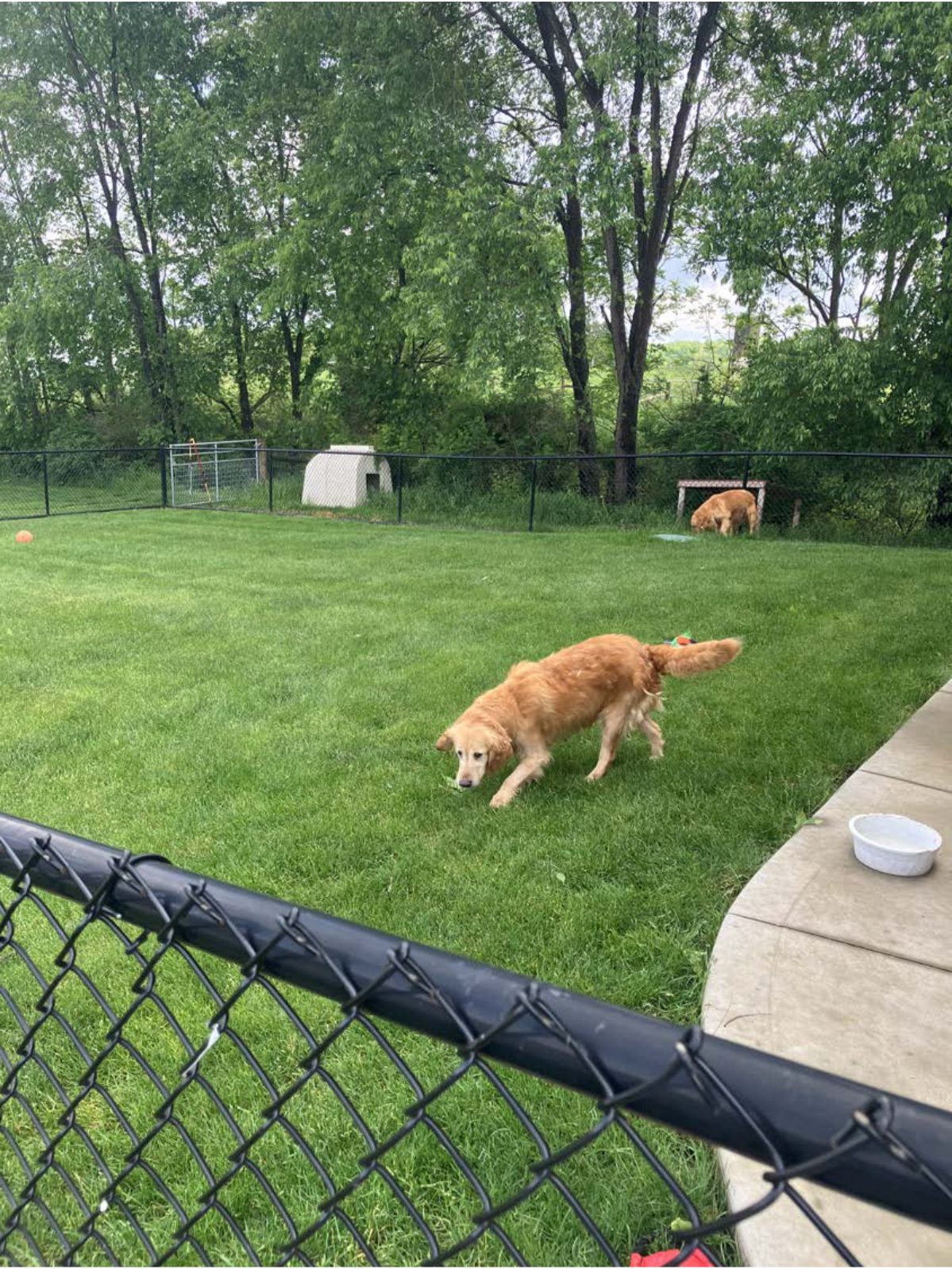 Kennel photograph taken at the Ohio inspection of Robert J Miller – Fredericksburg, OH on May 21, 2025, page 3 of the inspection report