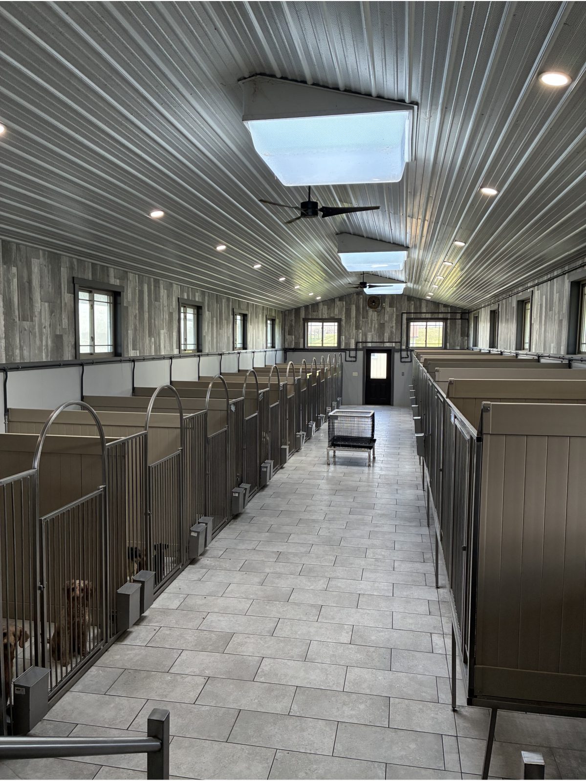 Kennel photograph taken at the Ohio inspection of Freeman R Troyer – First Choice Puppies / Morning Glory Kennels on March 12, 2026, page 3 of the inspection report