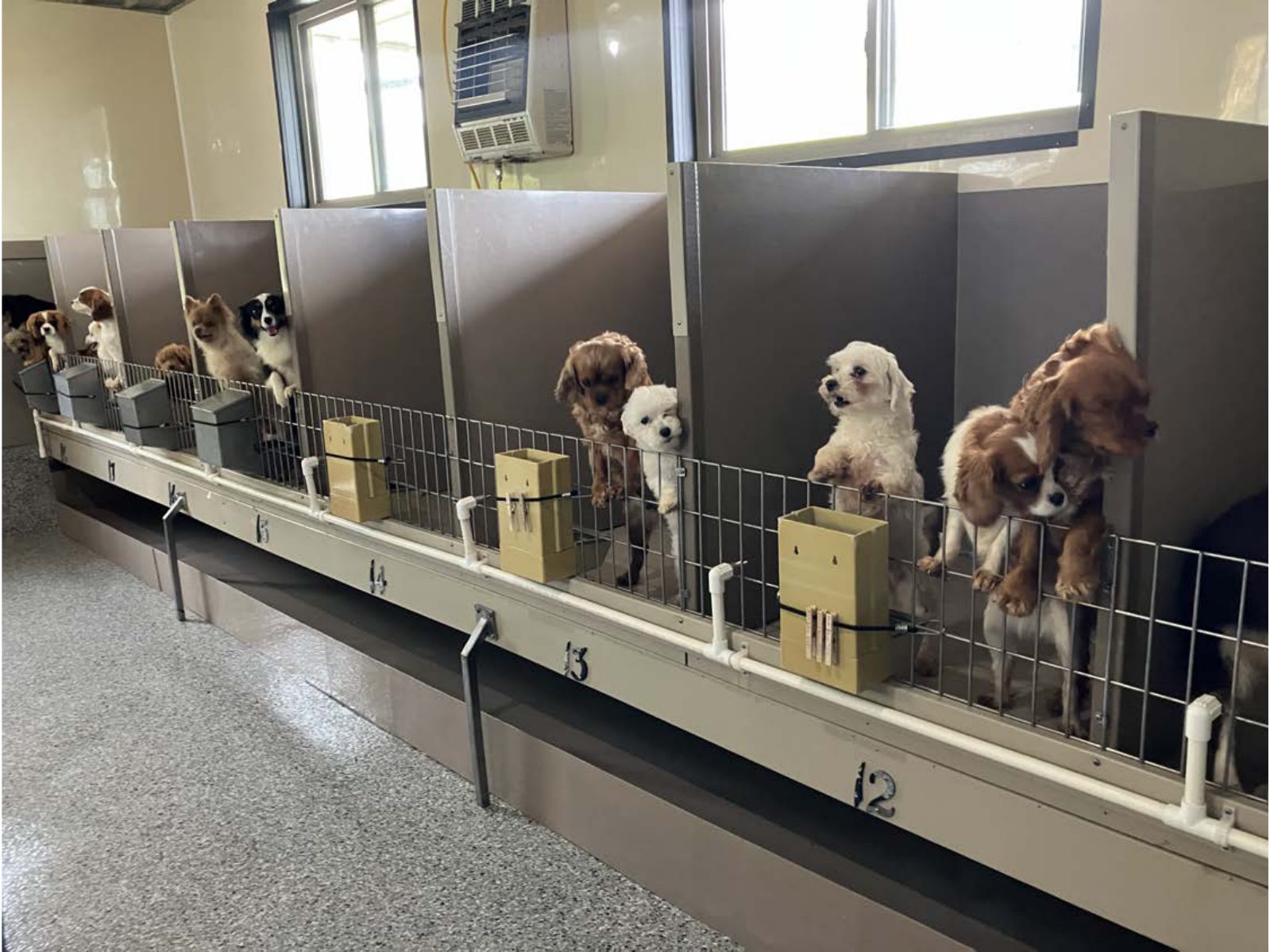 Kennel photograph taken at the Ohio inspection of Vernon W Burkholder – Roweville Puppies on May 14, 2025, page 2 of the inspection report