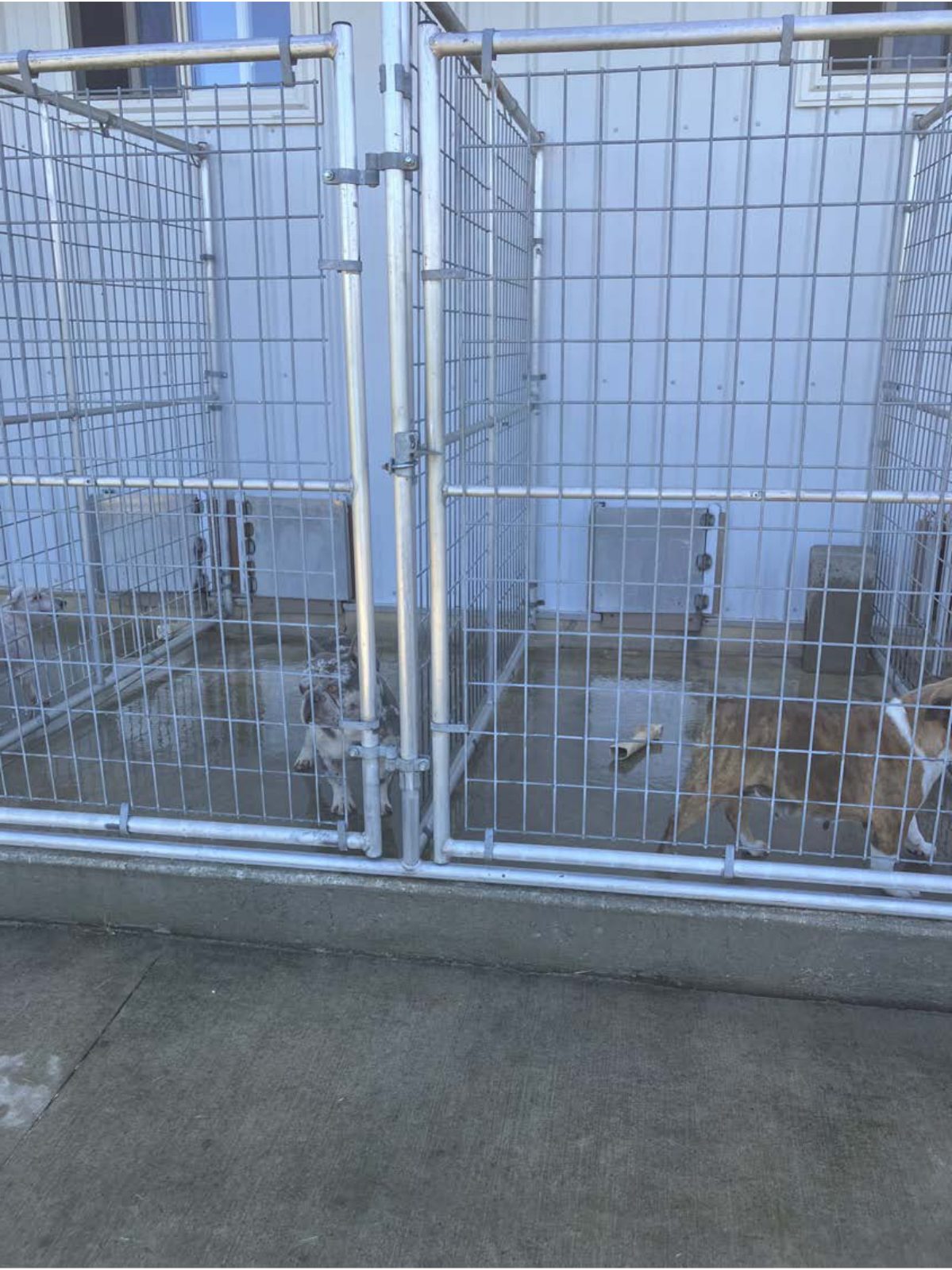 Kennel photograph taken at the Ohio inspection of Lester J Miller – Fredericksburg, OH on September 2, 2025, page 2 of the inspection report