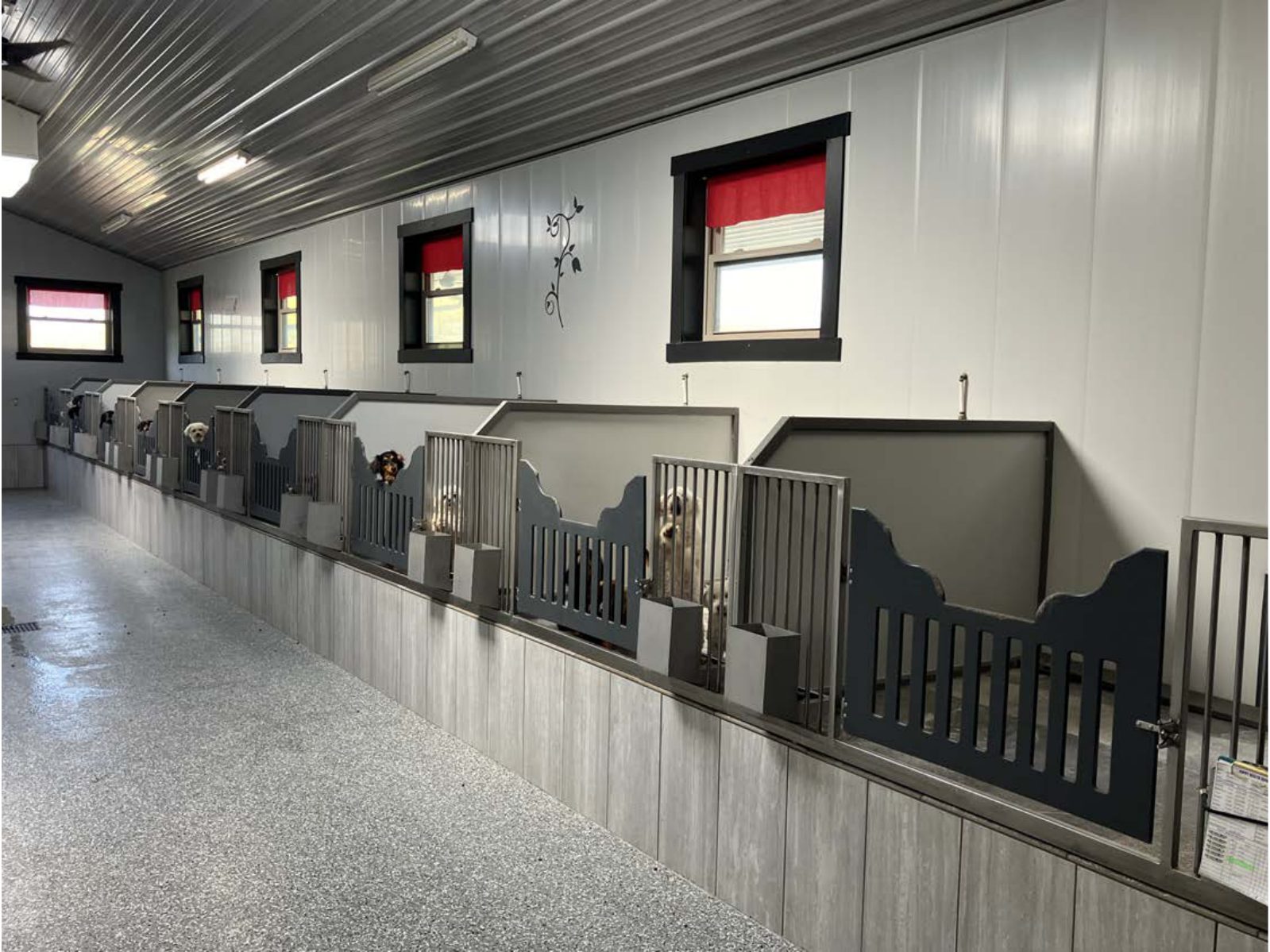 Kennel photograph taken at the Ohio inspection of Joseph D Miller – Millersburg, OH on April 24, 2025, page 3 of the inspection report