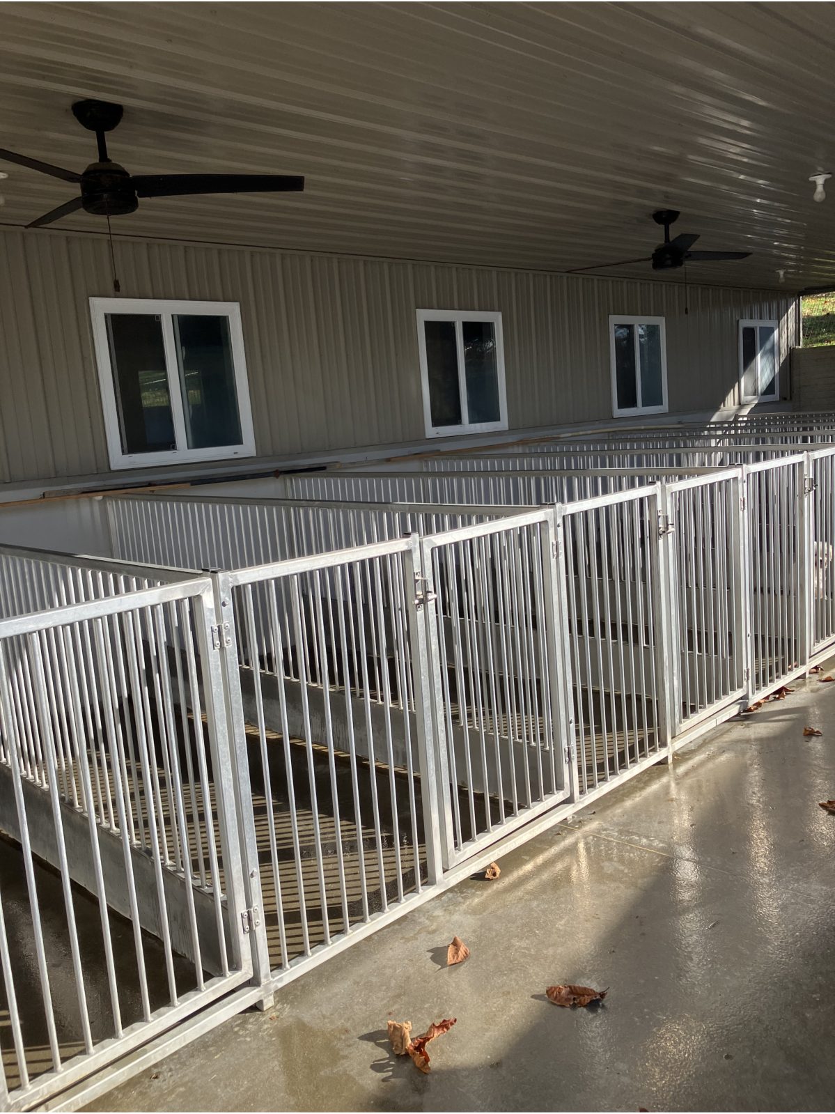 Kennel photograph taken at the Ohio inspection of Aden E Burkholder – Hickory Lane Kennel on October 27, 2025, page 3 of the inspection report