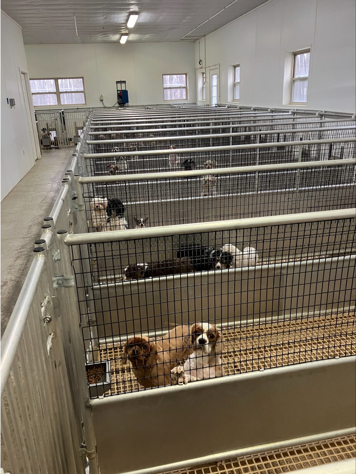 Kennel photograph taken at the Ohio inspection of James R Garman – Plymouth, OH on December 20, 2024, page 3 of the inspection report