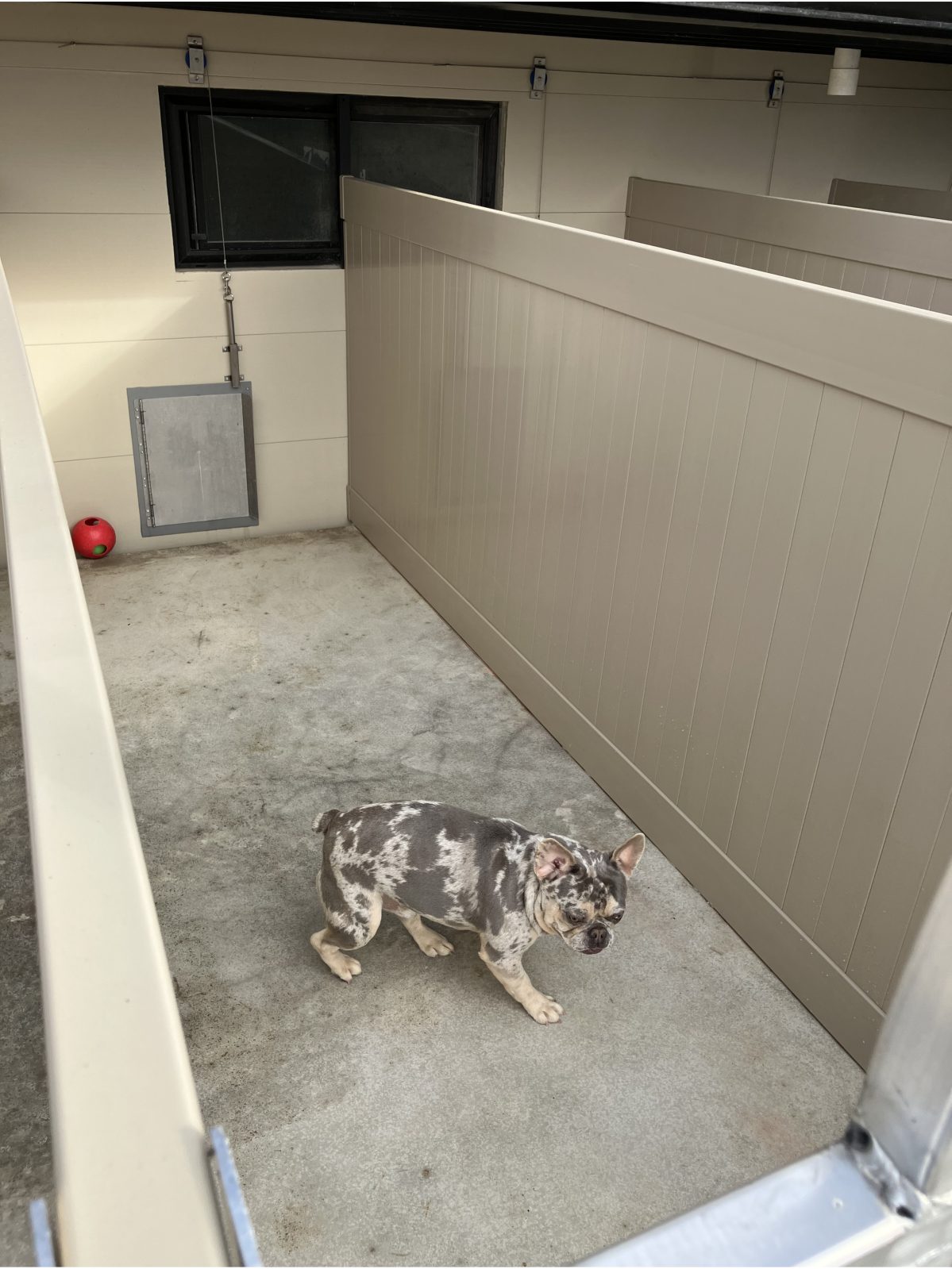 Kennel photograph taken at the Ohio inspection of Marion Yoder – First Choice Frenchies on November 14, 2025, page 2 of the inspection report