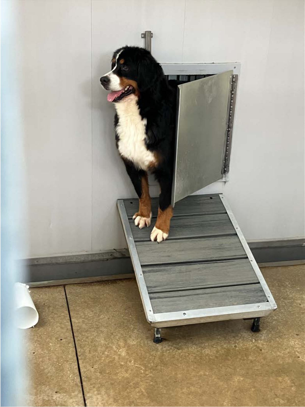 Kennel photograph taken at the Ohio inspection of Marcus S Yoder – Misty Ridge Puppies on June 13, 2025, page 3 of the inspection report
