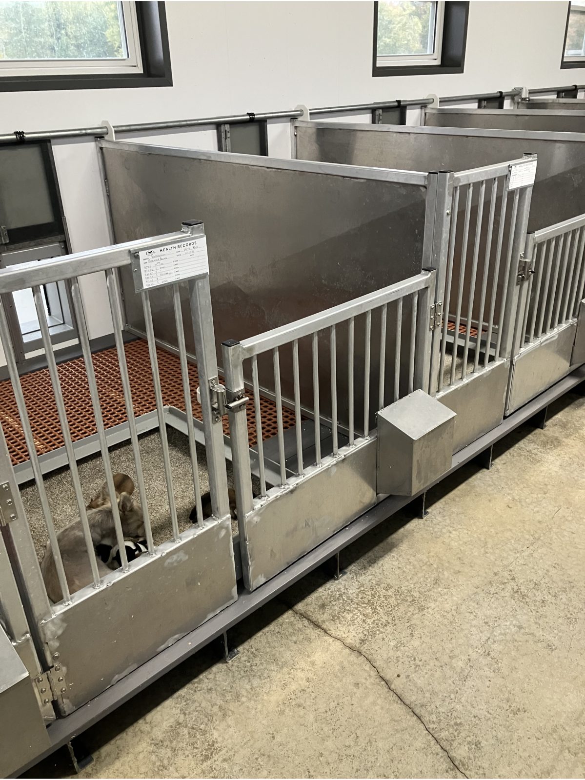 Kennel photograph taken at the Ohio inspection of Matthew R Zimmerman – Plymouth, OH on October 22, 2025, page 2 of the inspection report