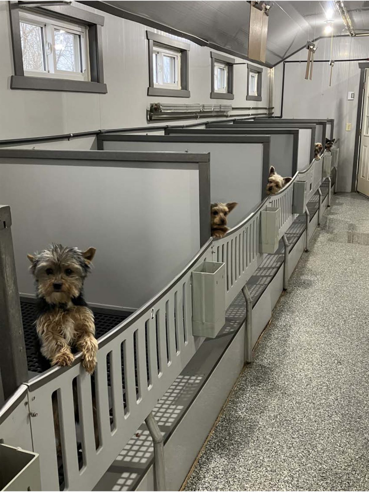 Kennel photograph taken at the Ohio inspection of Jacob R Miller – Clover Hill Acres on January 30, 2025, page 3 of the inspection report