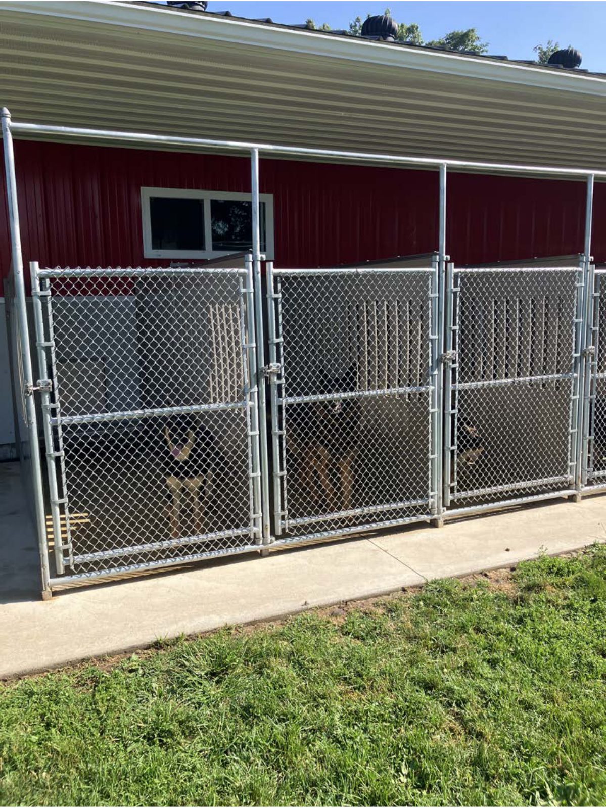 Kennel photograph taken at the Ohio inspection of Leon A Miller – Fredericksburg, OH on August 8, 2025, page 2 of the inspection report