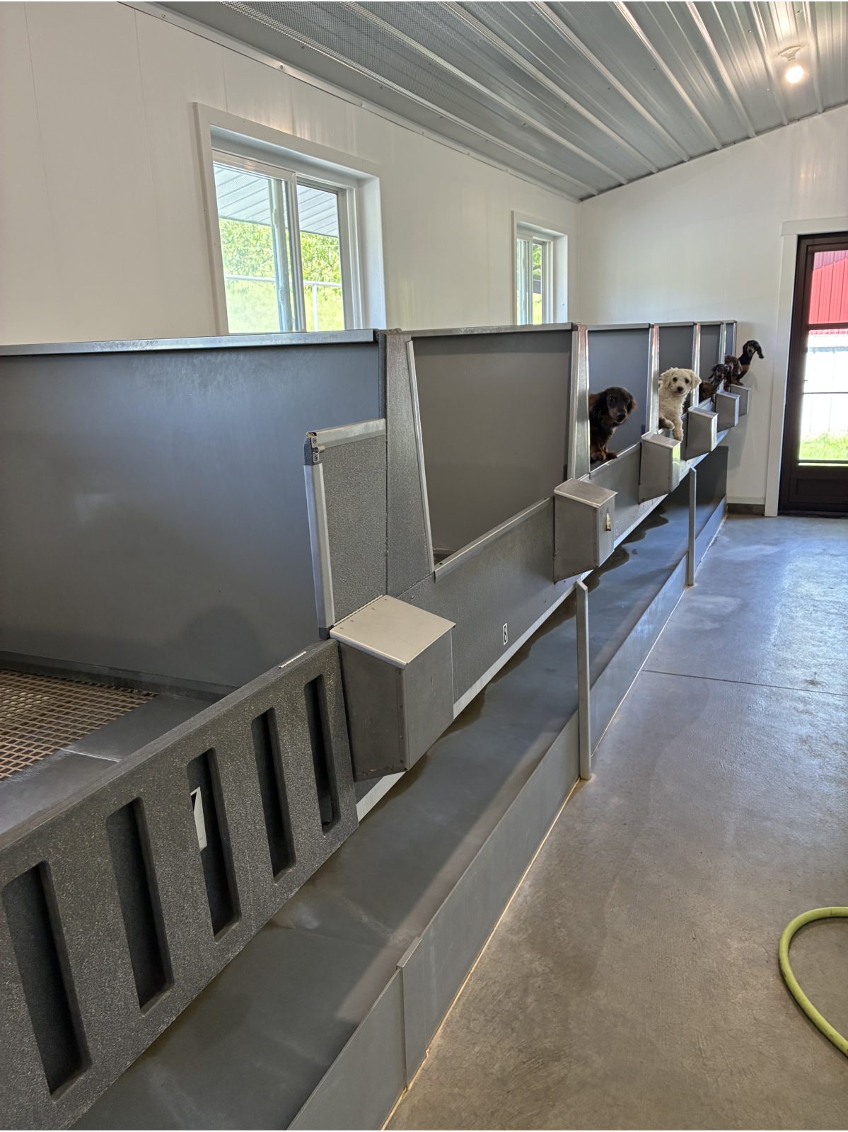 Kennel photograph taken at the Ohio inspection of Danny Miller – Dundee, OH on May 28, 2026, page 2 of the inspection report