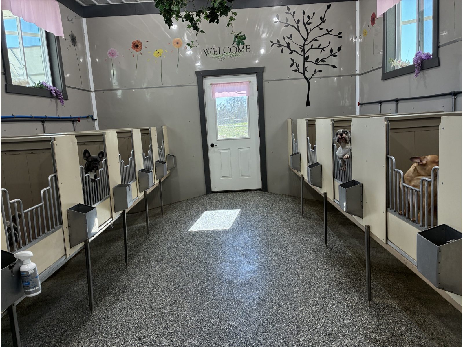 Kennel photograph taken at the Ohio inspection of Junior Yoder – Fresno, OH on March 19, 2026, page 2 of the inspection report