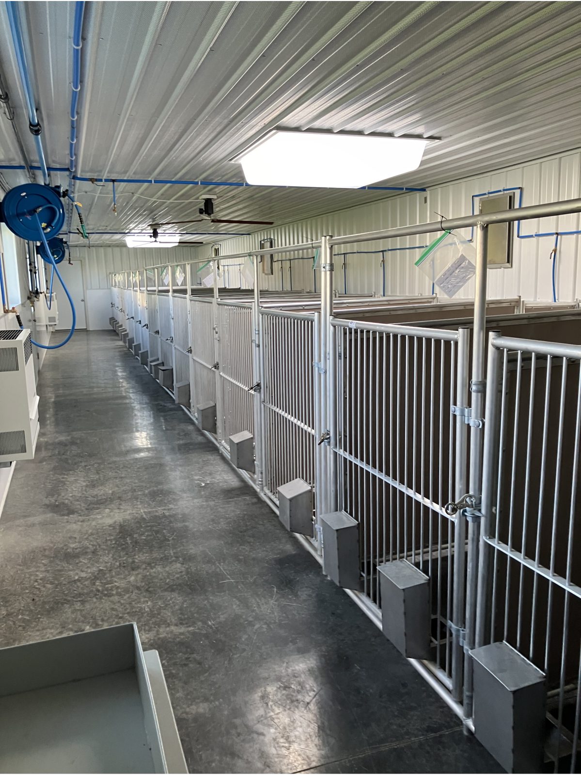 Kennel photograph taken at the Ohio inspection of Abe A Weaver Jr – Wooster, OH on October 21, 2024, page 6 of the inspection report