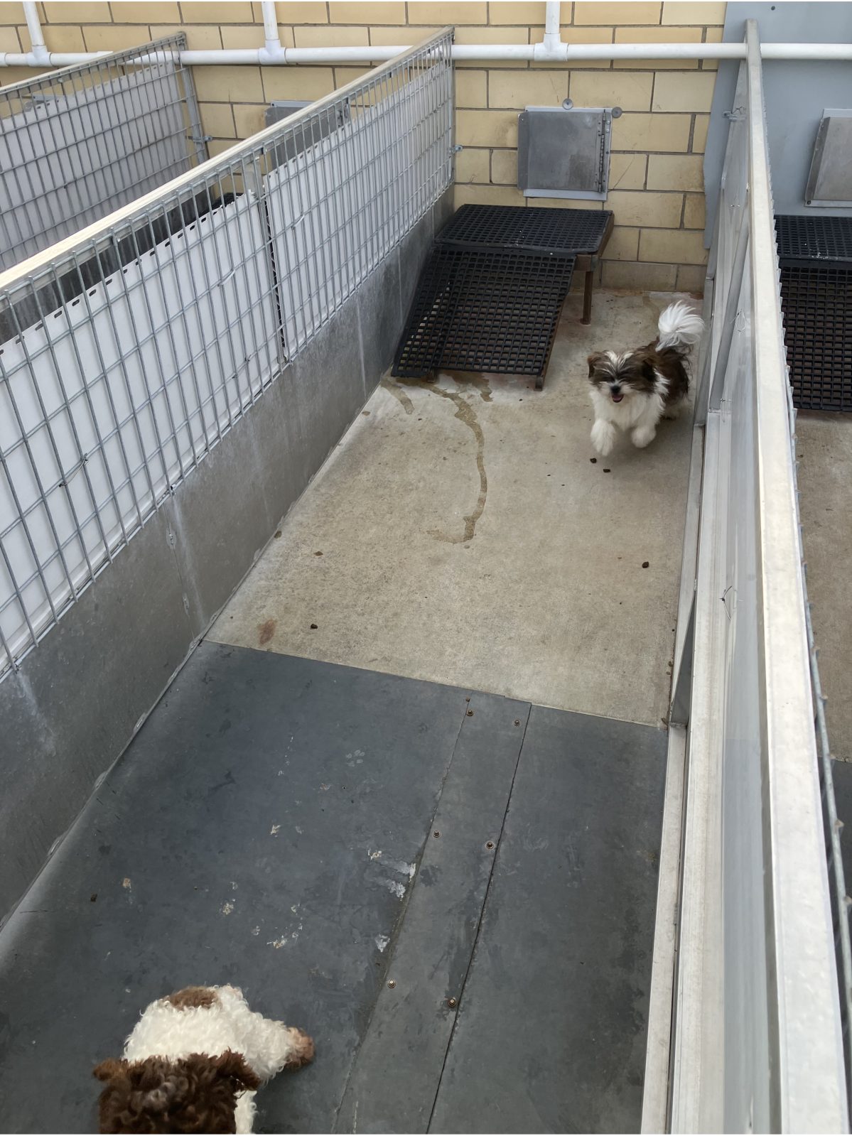 Kennel photograph taken at the Ohio inspection of Wayne P Burkholder – Baltic, OH on December 9, 2025, page 4 of the inspection report