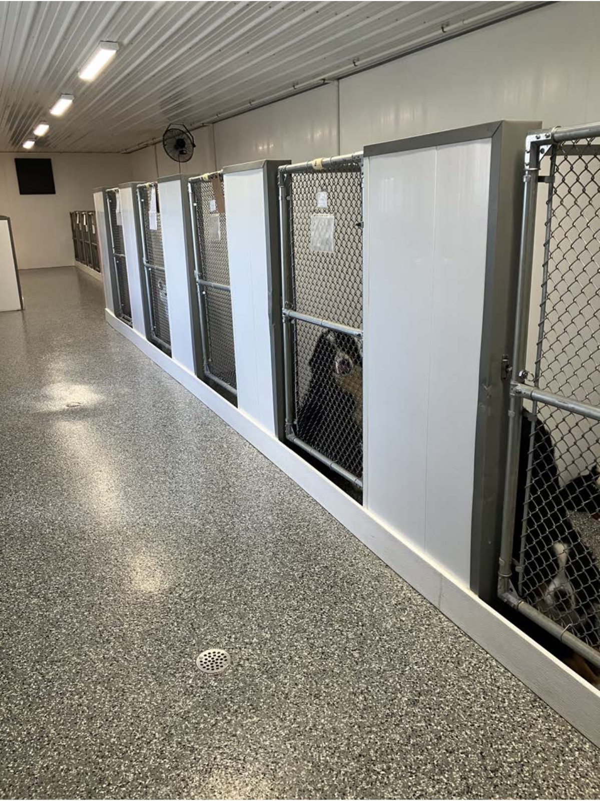 Kennel photograph taken at the Ohio inspection of John E Jamison – Stoney Creek Kennels on July 1, 2025, page 3 of the inspection report
