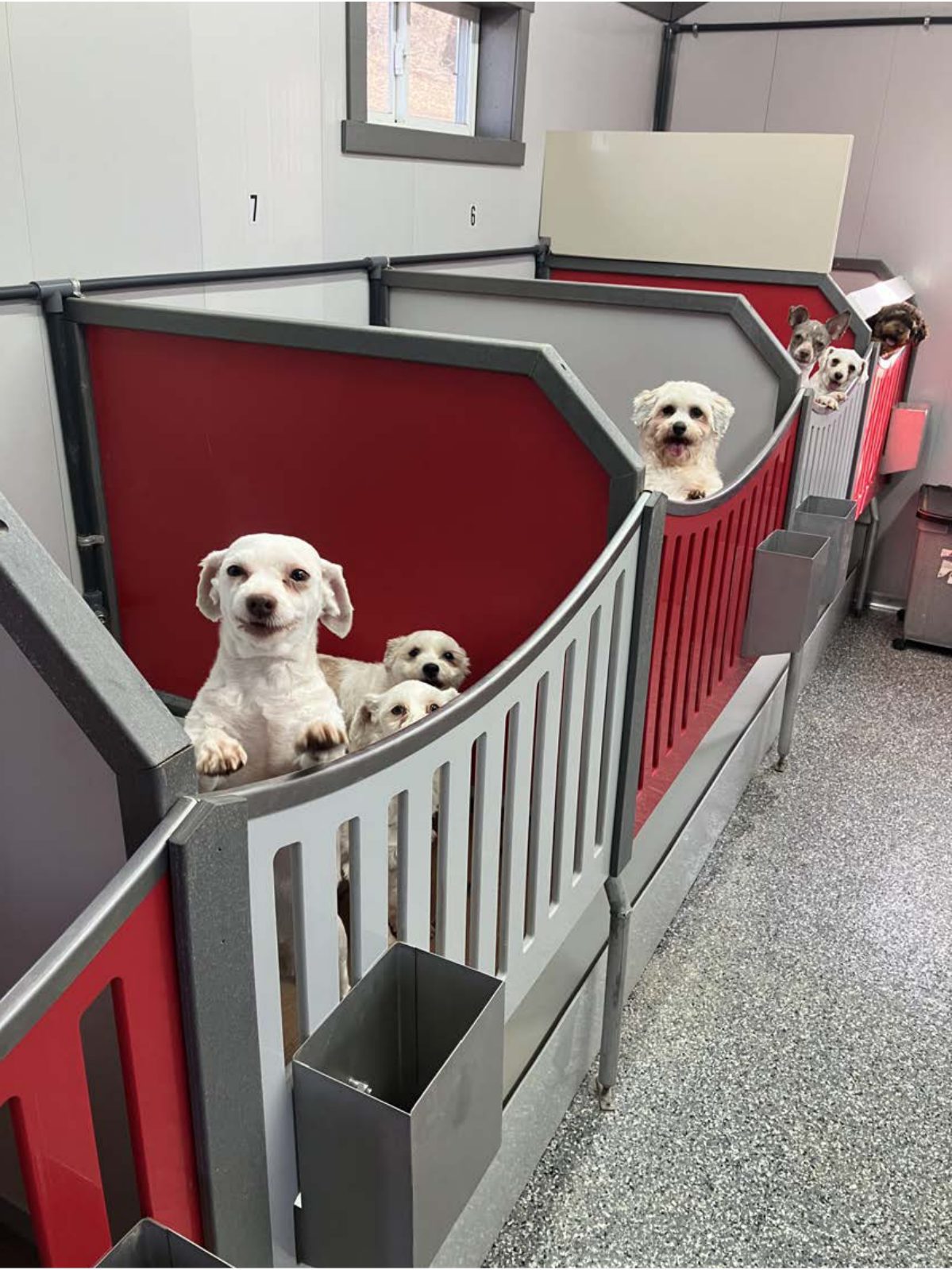 Kennel photograph taken at the Ohio inspection of Robert J Miller – Country Hill Kennel on March 13, 2025, page 2 of the inspection report
