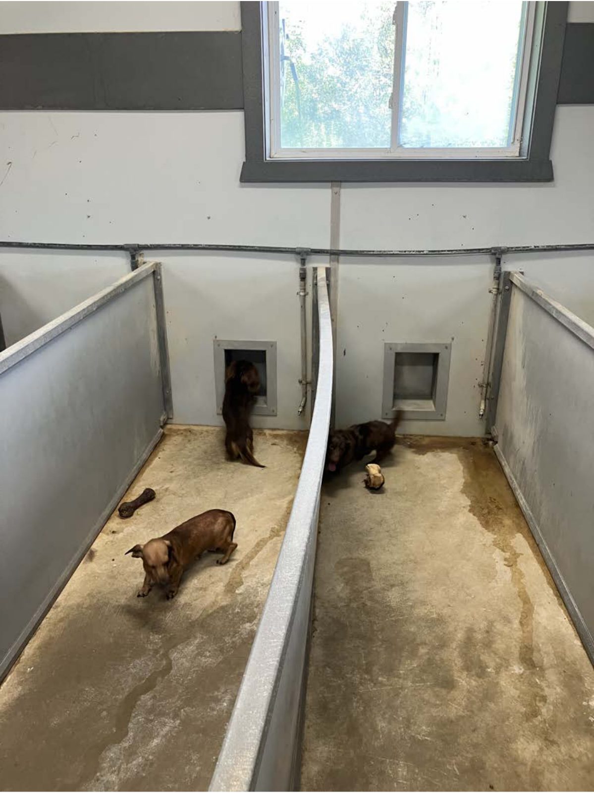 Kennel photograph taken at the Ohio inspection of Mervin J Miller – Creek Bottom Puppies on July 15, 2025, page 2 of the inspection report