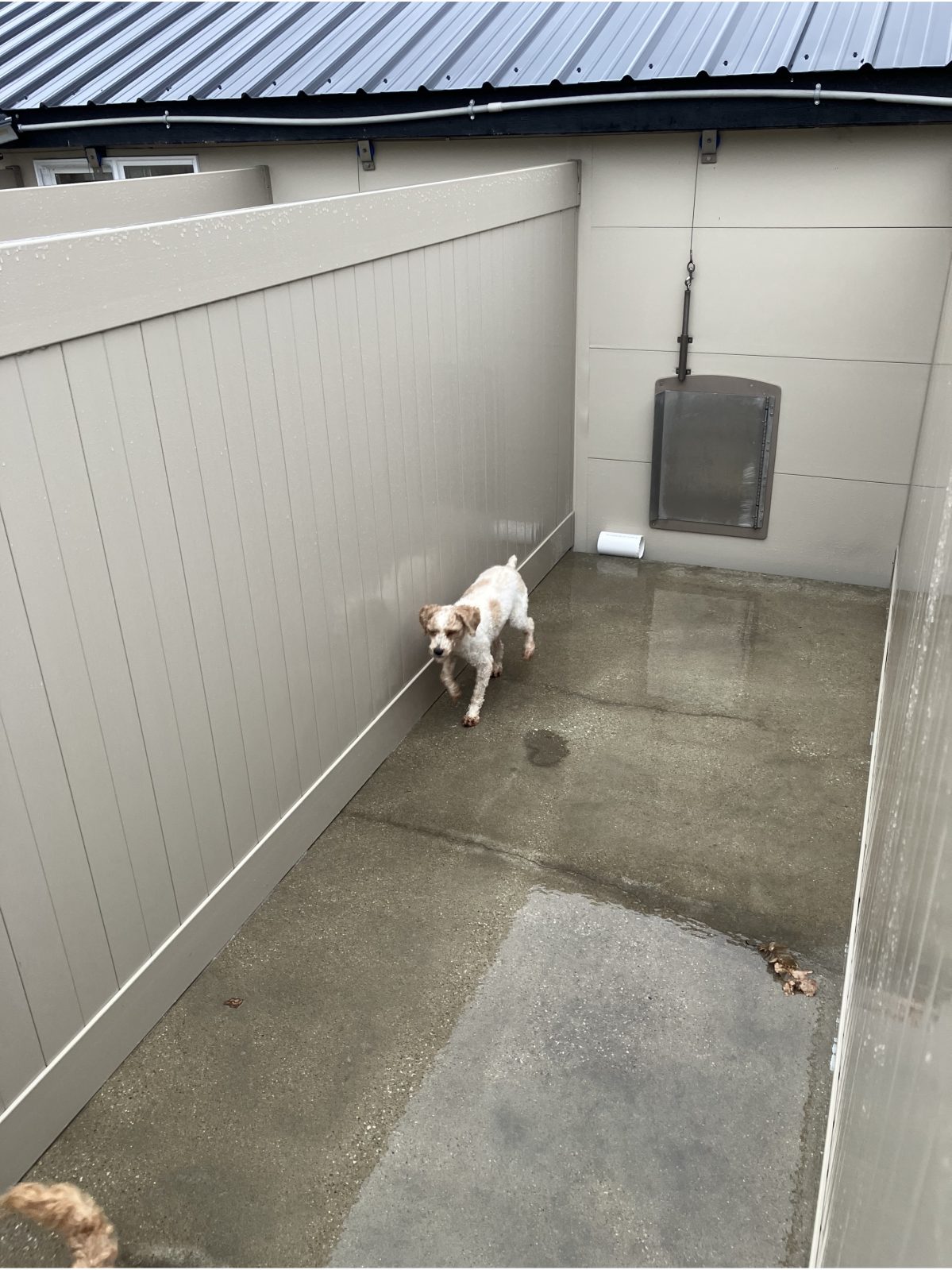 Kennel photograph taken at the Ohio inspection of Marlin Yoder – Diamond Doodles on November 25, 2025, page 2 of the inspection report