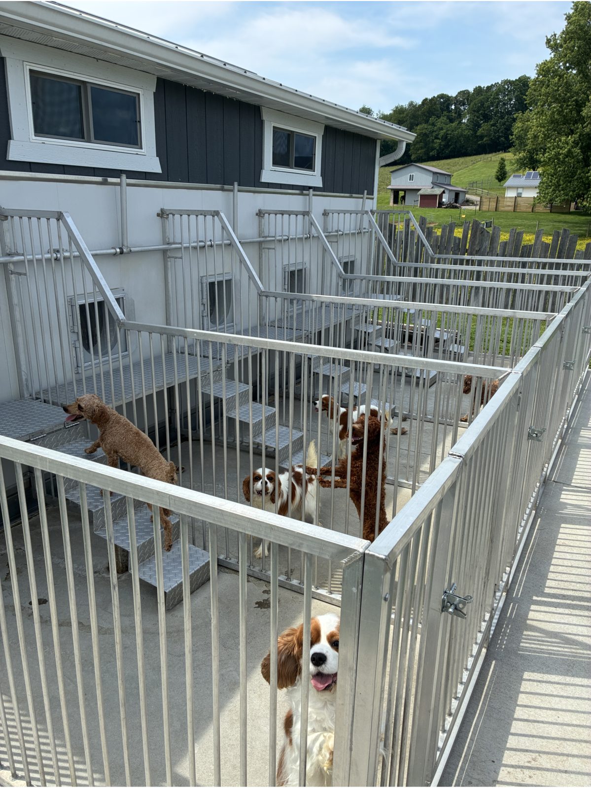 Kennel photograph taken at the Ohio inspection of Marion J Miller – Baltic, OH on June 8, 2026, page 3 of the inspection report