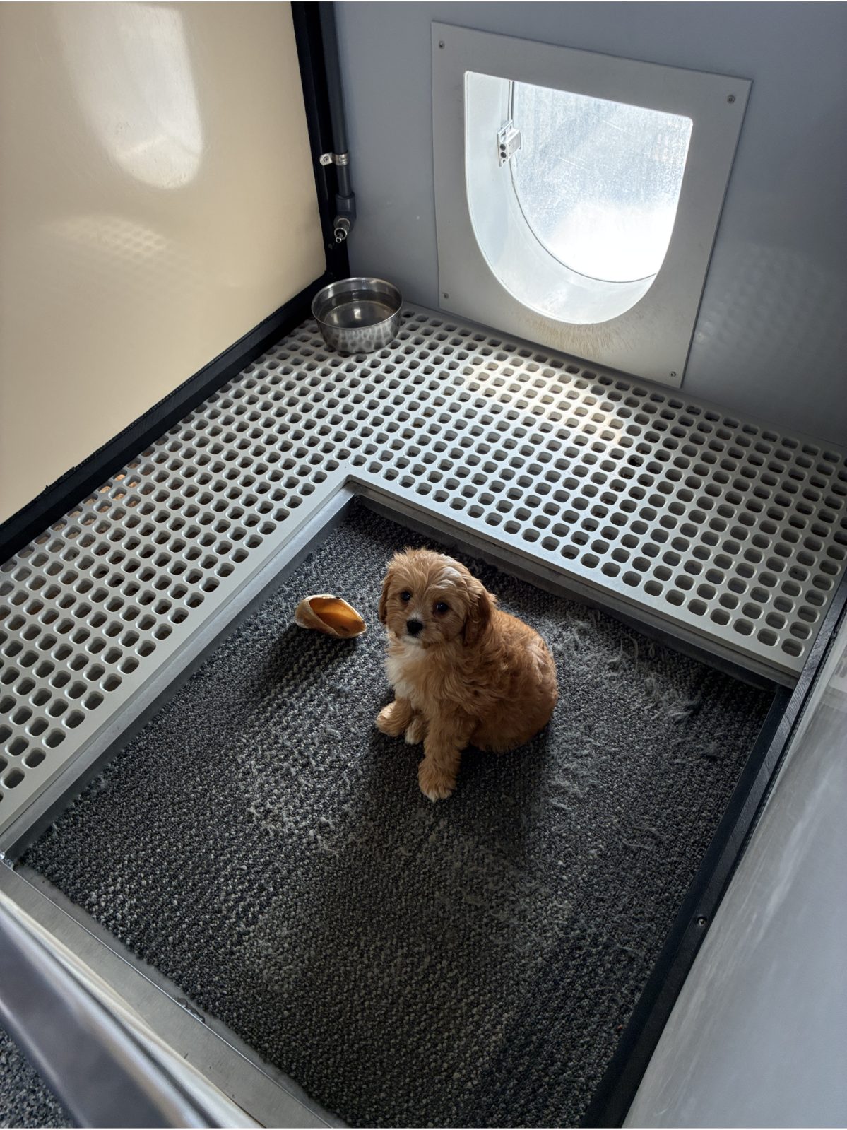 Kennel photograph taken at the Ohio inspection of Marion J Miller – Baltic, OH on June 8, 2026, page 2 of the inspection report