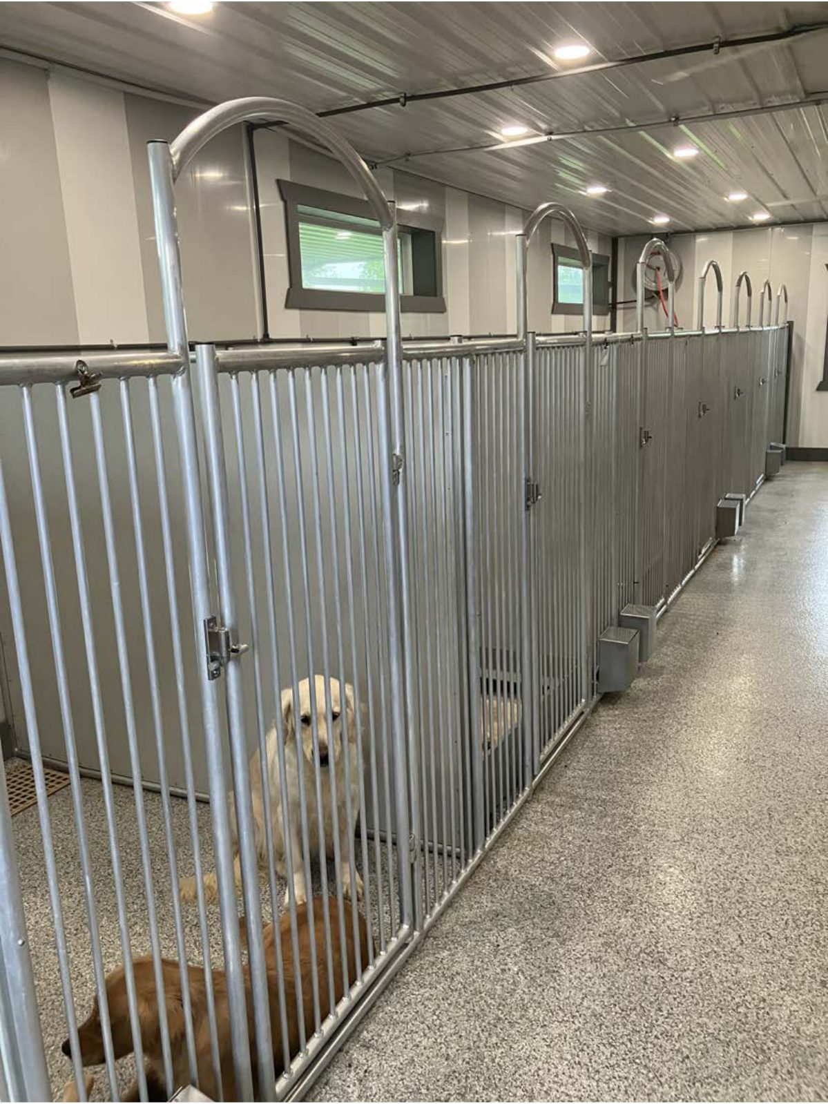 Kennel photograph taken at the Ohio inspection of Albert Hostetler – Fredericksburg, OH on May 21, 2025, page 3 of the inspection report