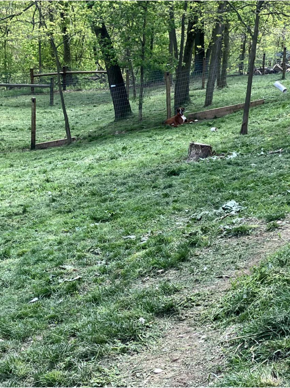 Kennel photograph taken at the Ohio inspection of Levi D & Daniel L Miller – Fredericksburg, OH on May 7, 2025, page 2 of the inspection report