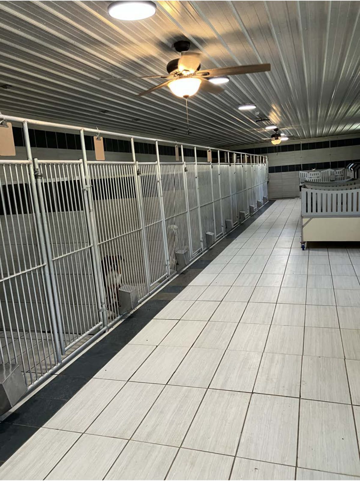 Kennel photograph taken at the Ohio inspection of Levi D & Daniel L Miller – Fredericksburg, OH on May 7, 2025, page 3 of the inspection report