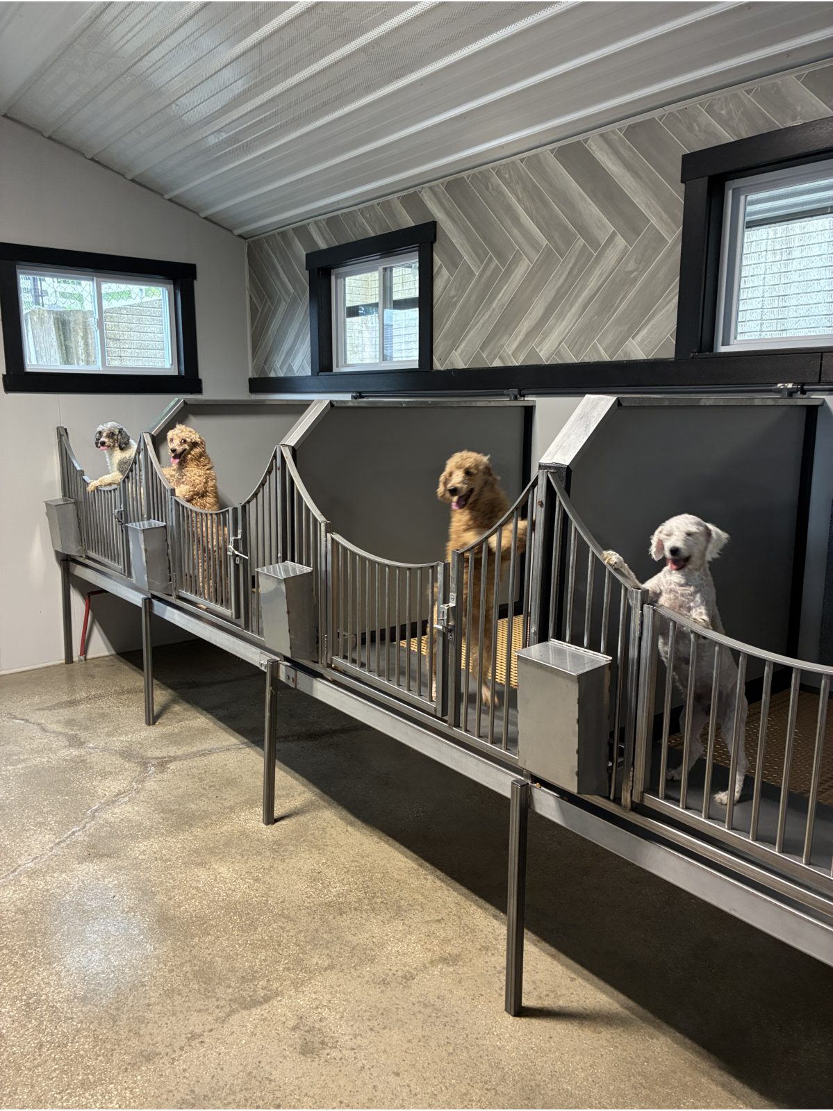 Kennel photograph taken at the Ohio inspection of James R Miller – E. J. Doodles on May 27, 2026, page 3 of the inspection report