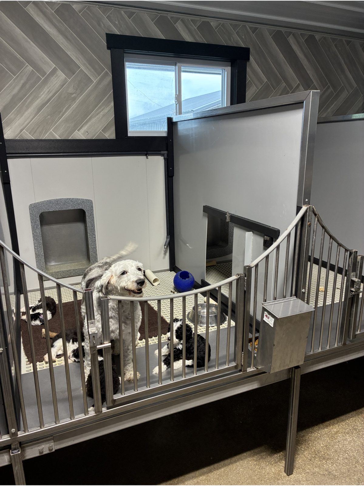 Kennel photograph taken at the Ohio inspection of James R Miller – E. J. Doodles on May 27, 2026, page 2 of the inspection report