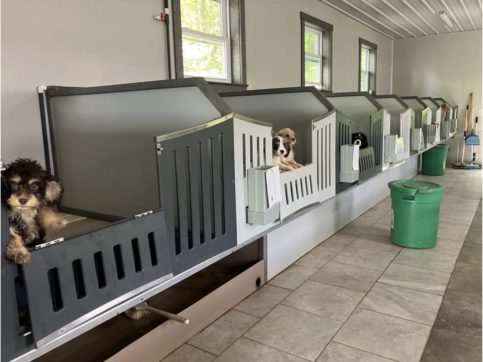 Kennel photograph taken at the Ohio inspection of David W Mast – Whispering Brook Puppies on May 14, 2025, page 2 of the inspection report