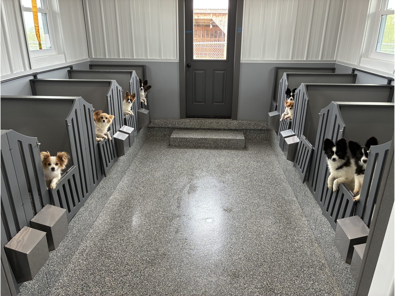 Kennel photograph taken at the Ohio inspection of Norman D Miller – Red Barn View Kennels on April 28, 2026, page 2 of the inspection report