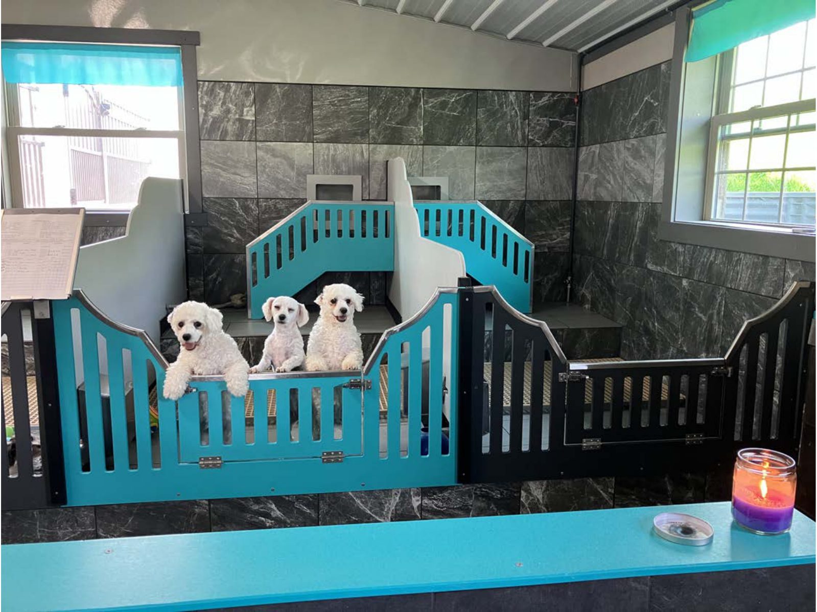 Kennel photograph taken at the Ohio inspection of Freeman S Raber – Rebar Puppies on June 12, 2025, page 2 of the inspection report