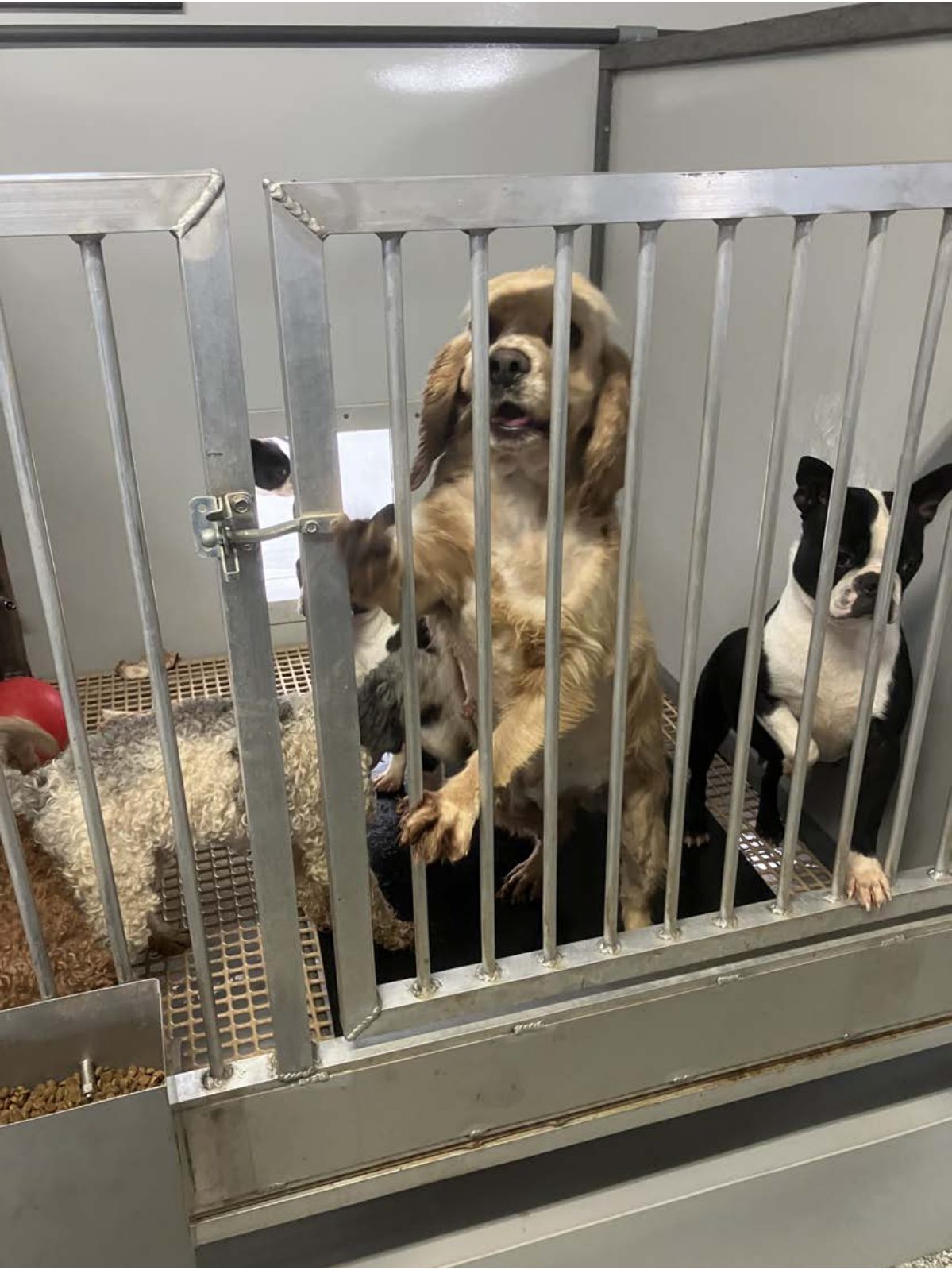 Kennel photograph taken at the Ohio inspection of Crist R Miller – River Bottom Acres on February 3, 2025, page 2 of the inspection report