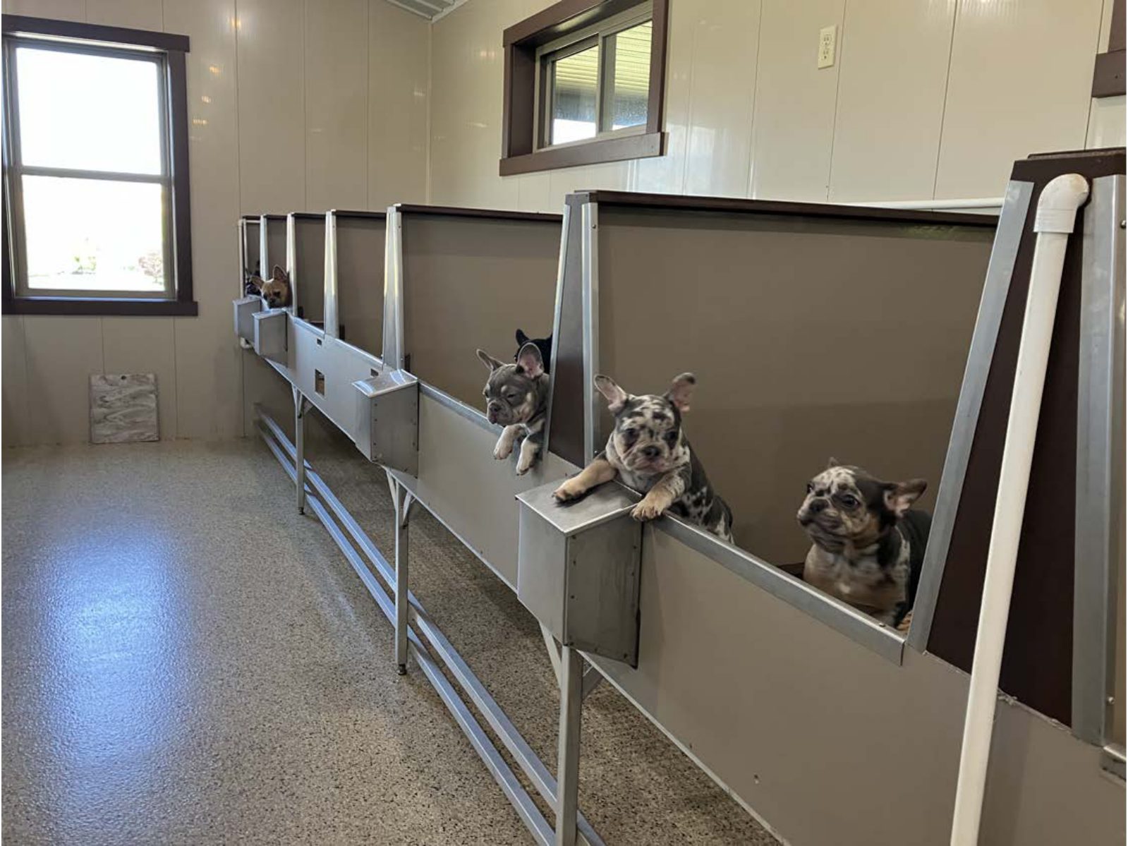 Kennel photograph taken at the Ohio inspection of Andy Yoder Jr – Stony Hill Pets on April 30, 2025, page 2 of the inspection report