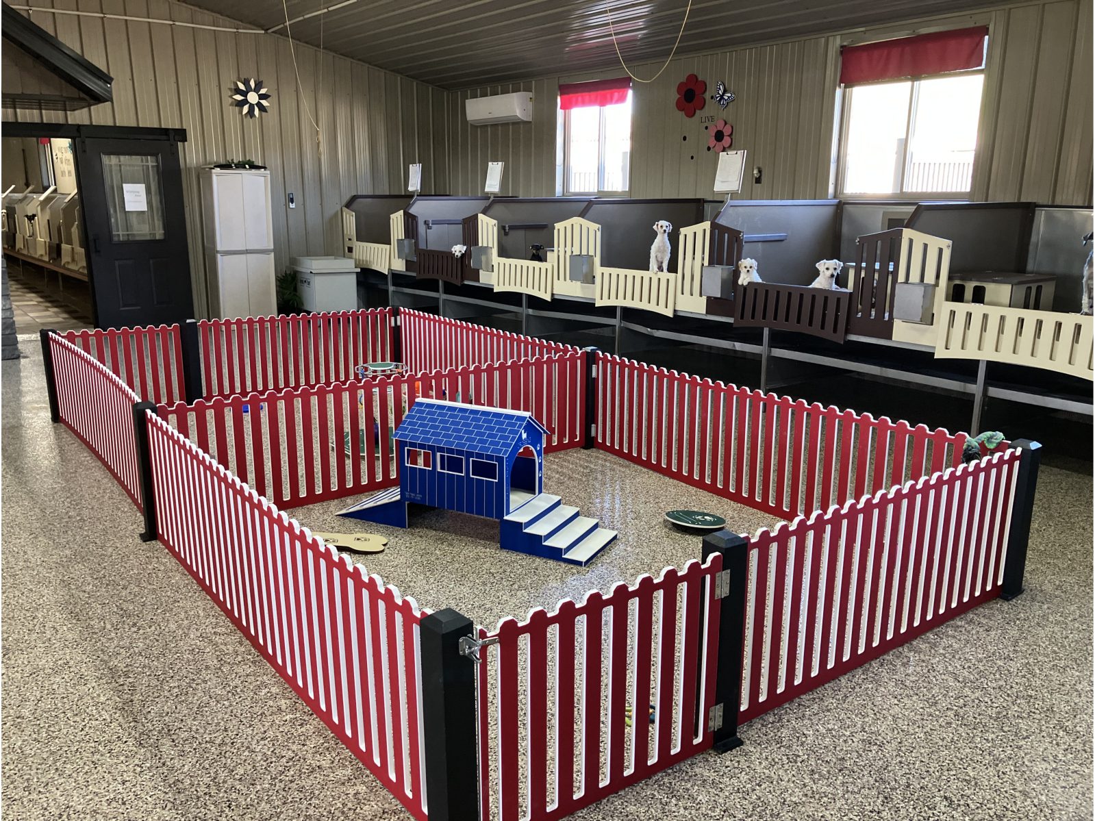 Kennel photograph taken at the Ohio inspection of Katie L Mast – Rainbow View Pets on October 28, 2025, page 3 of the inspection report