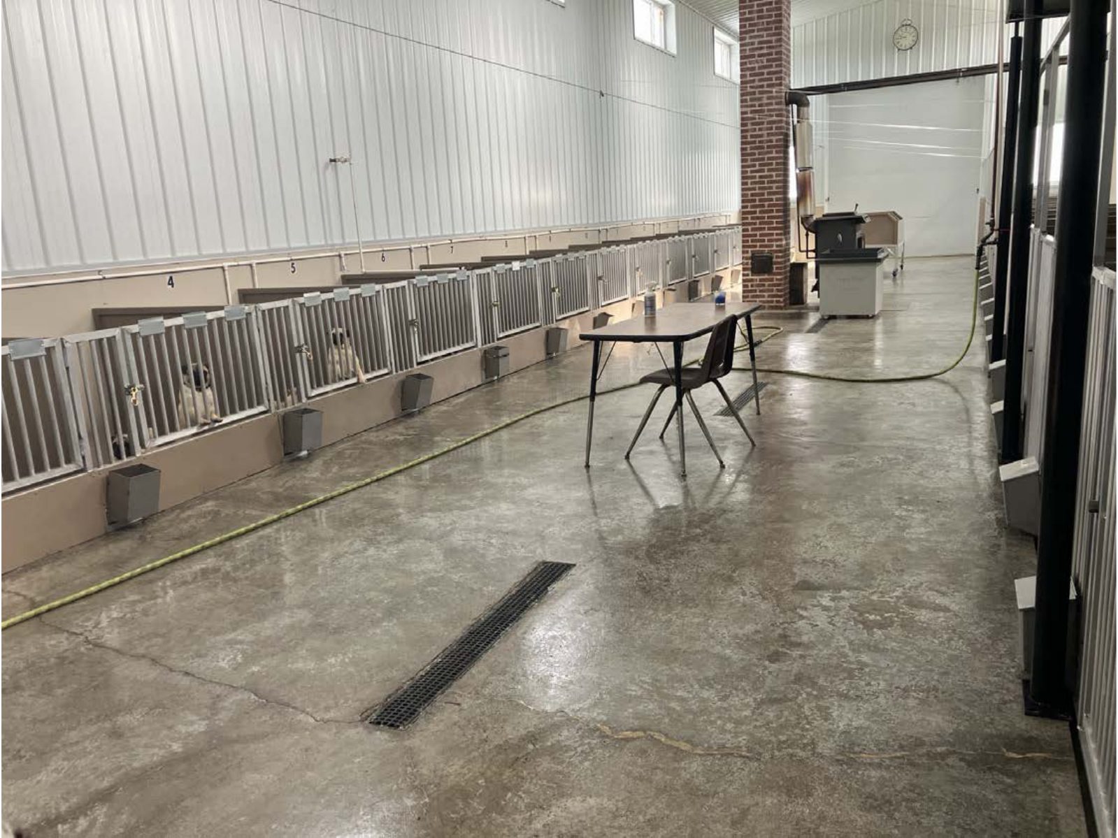 Kennel photograph taken at the Ohio inspection of Samuel Shetler – Sunrise Kennels on June 6, 2025, page 3 of the inspection report