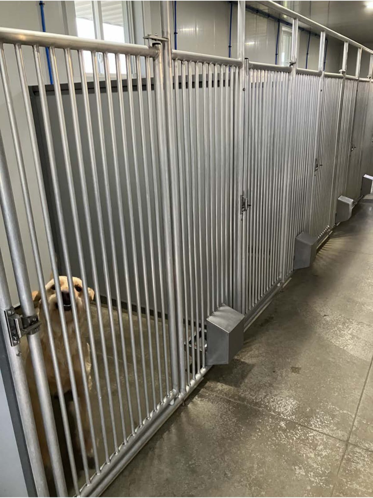 Kennel photograph taken at the Ohio inspection of Leroy Mast – Sunnyside Puppies on February 3, 2025, page 2 of the inspection report