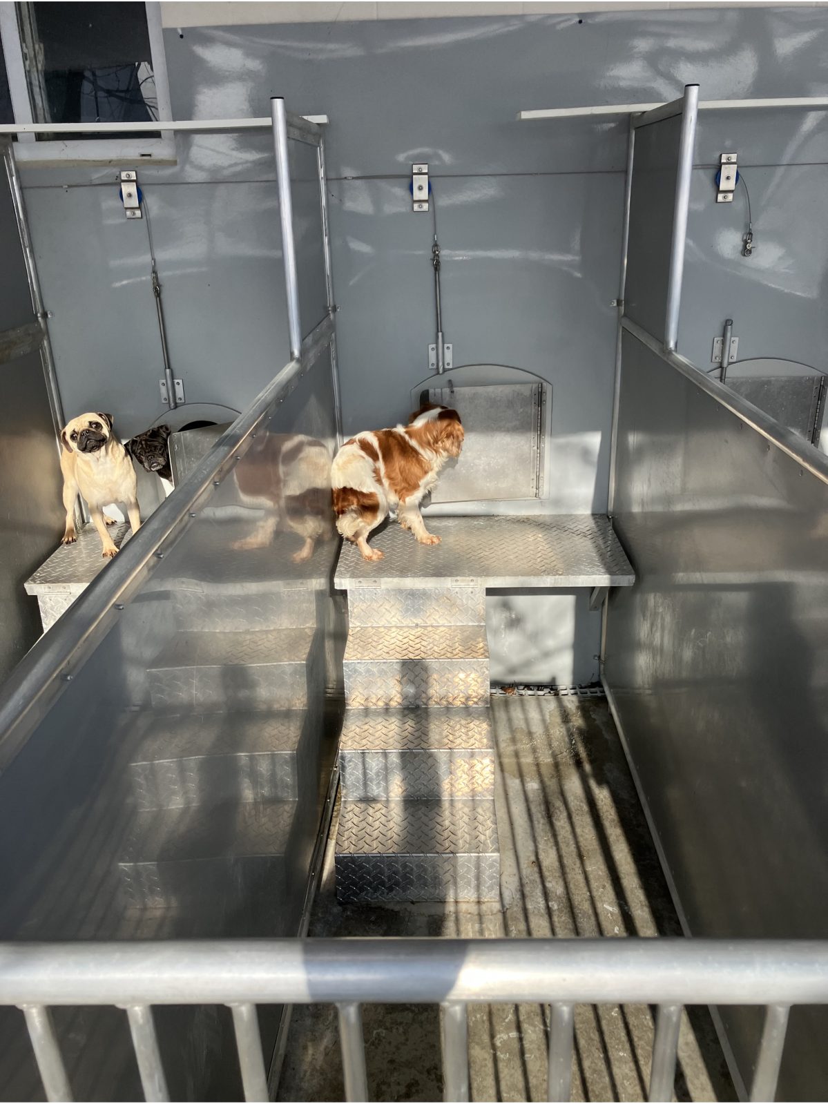 Kennel photograph taken at the Ohio inspection of Miriam Miller – Rose Run Kennel on December 5, 2025, page 3 of the inspection report