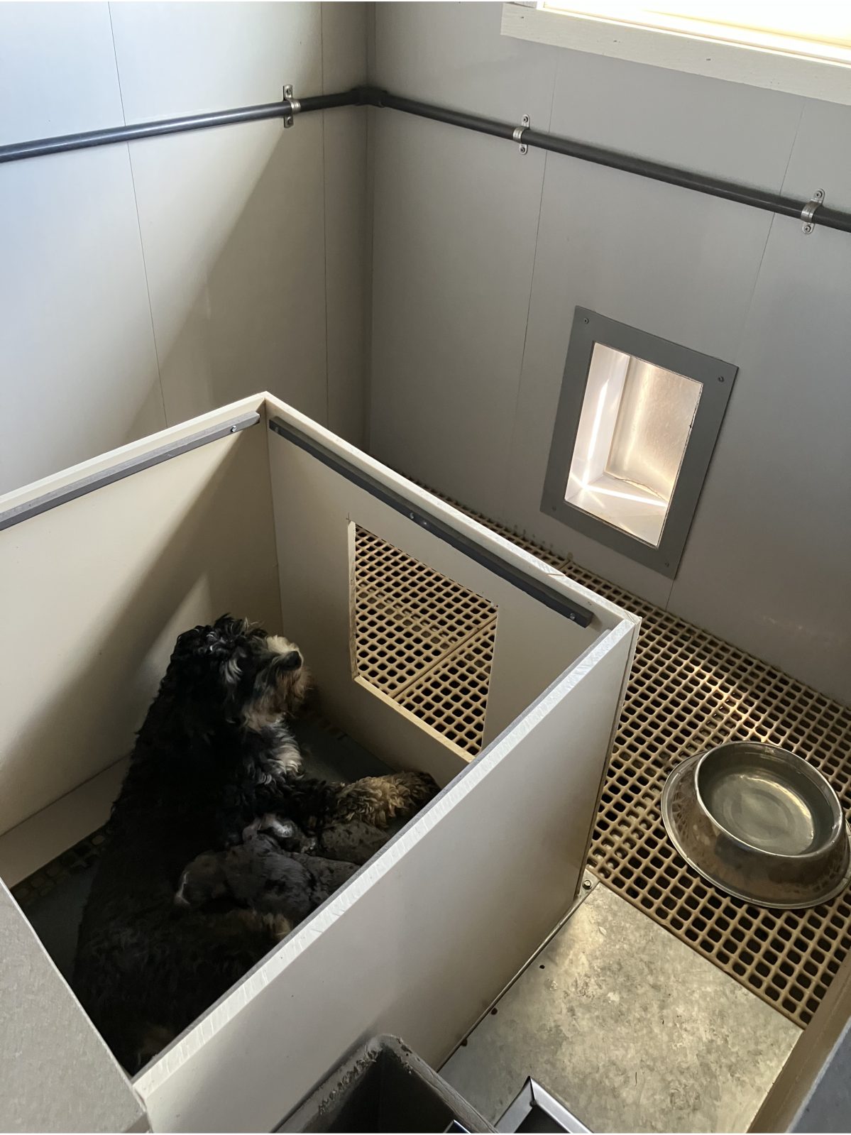 Kennel photograph taken at the Ohio inspection of Joas Yoder – Puppy Blvd on October 2, 2025, page 3 of the inspection report