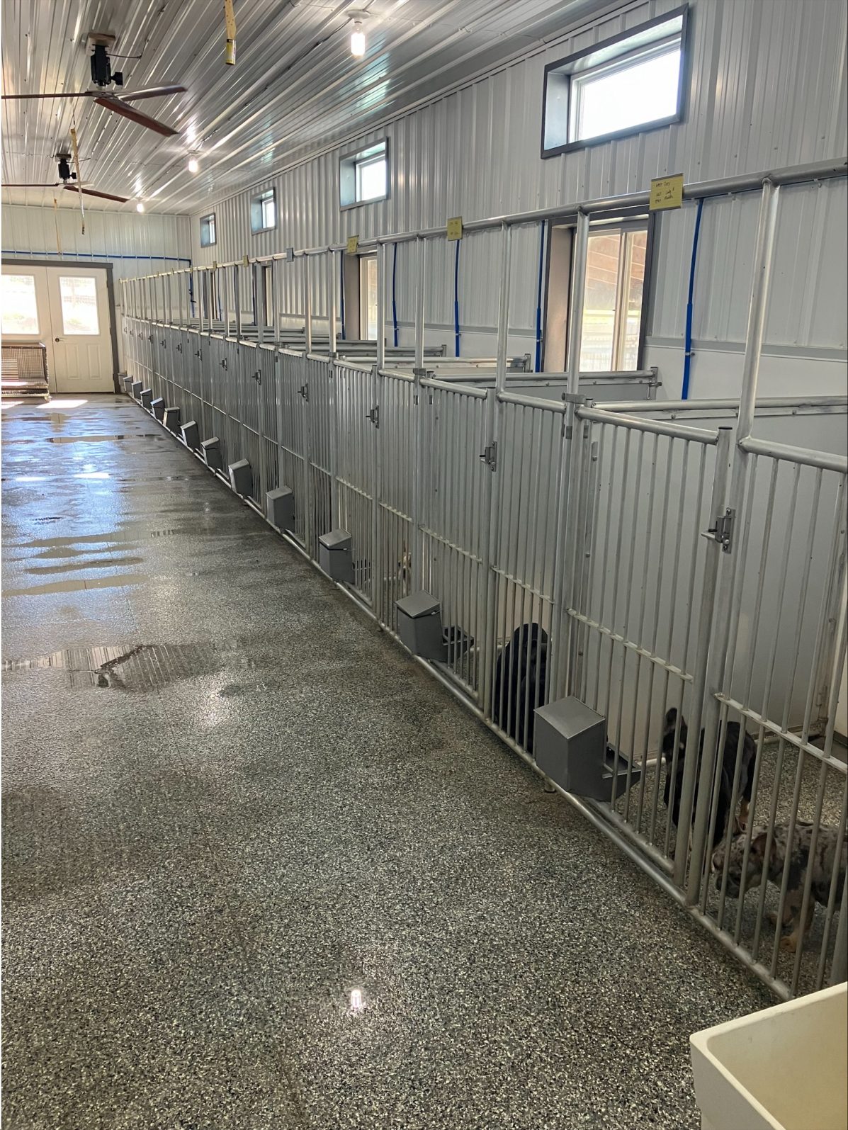 Kennel photograph taken at the Ohio inspection of John A Raber – Hillside Canines on October 9, 2024, page 2 of the inspection report