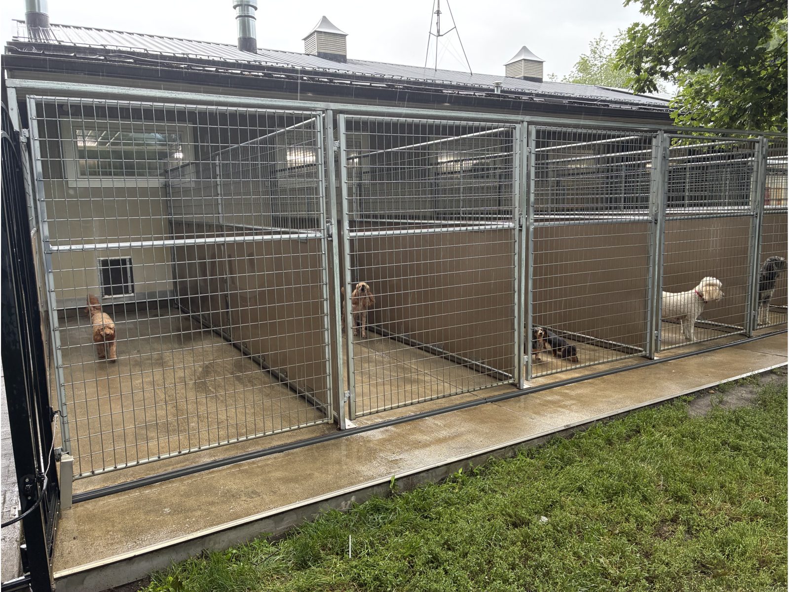 Kennel photograph taken at the Ohio inspection of Regina Miller – Pups 2 Pets on June 25, 2026, page 2 of the inspection report