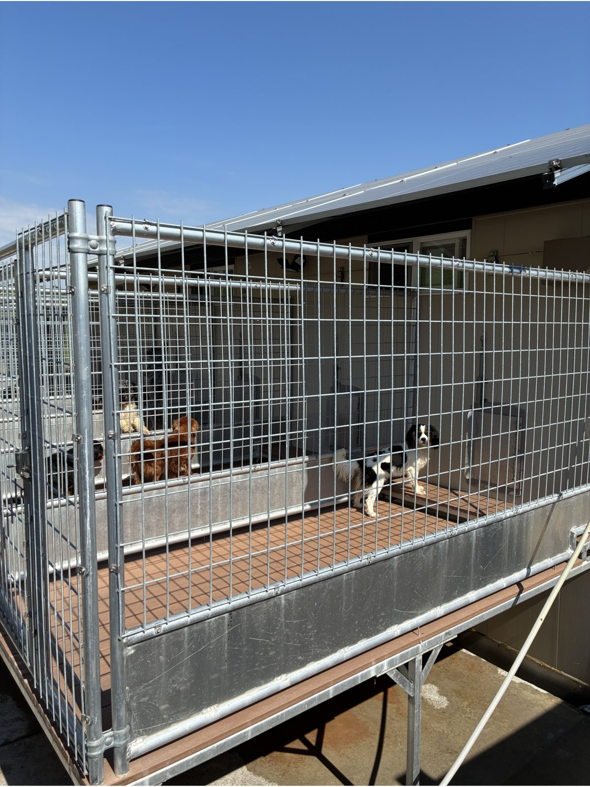 Kennel photograph taken at the Ohio inspection of Bertha Yoder – Hilltop Bulldog on June 5, 2026, page 3 of the inspection report
