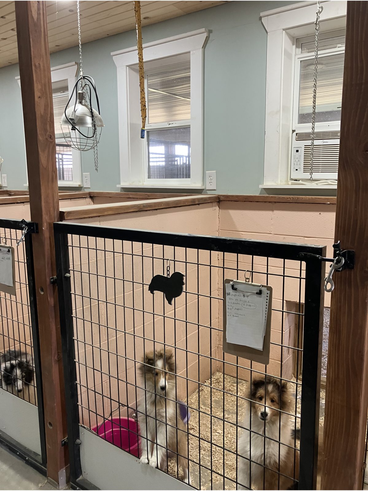 Kennel photograph taken at the Ohio inspection of Bella Corwin – Belmark on October 8, 2025, page 4 of the inspection report