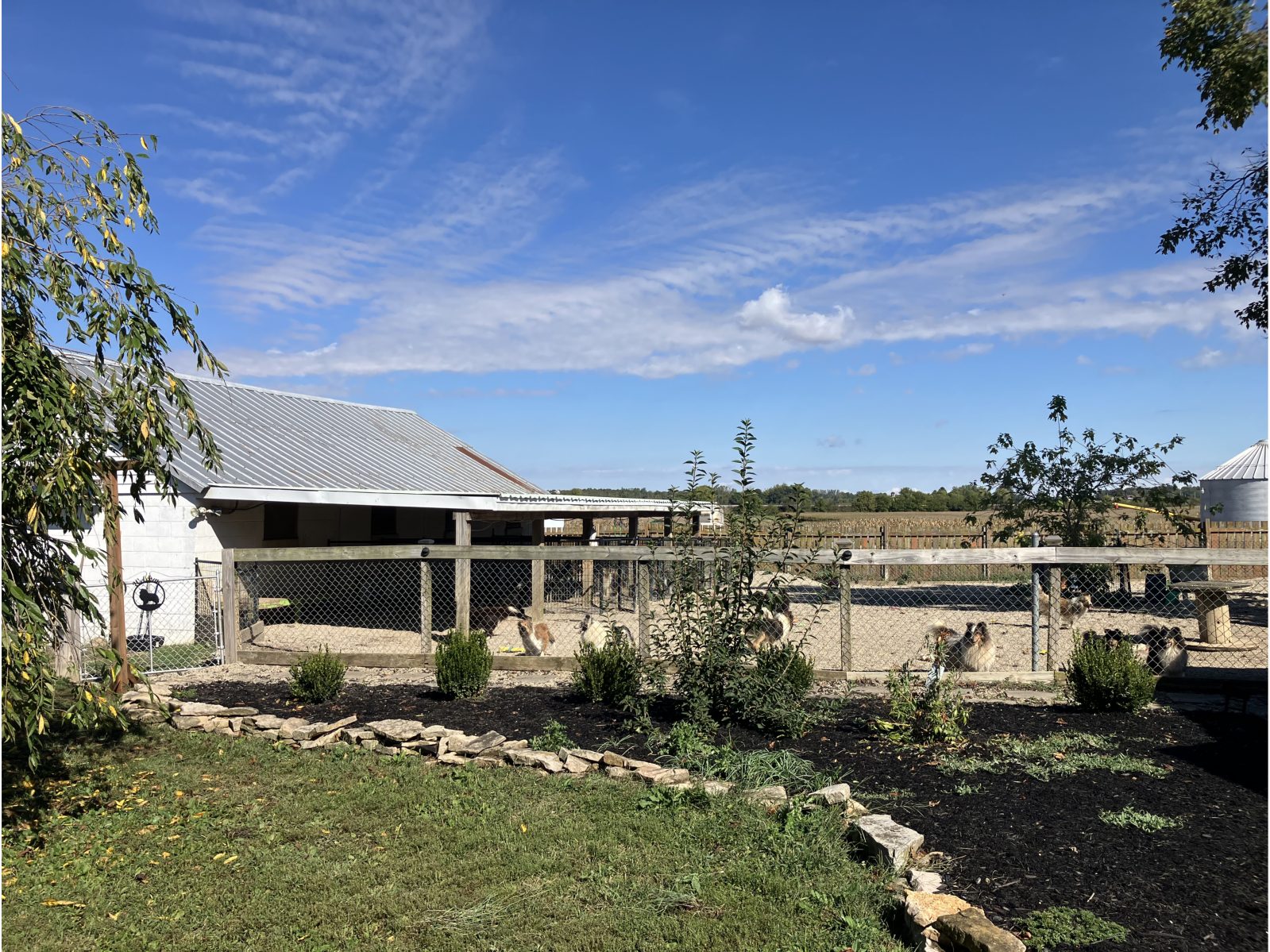 Kennel photograph taken at the Ohio inspection of Bella Corwin – Belmark on October 8, 2025, page 2 of the inspection report