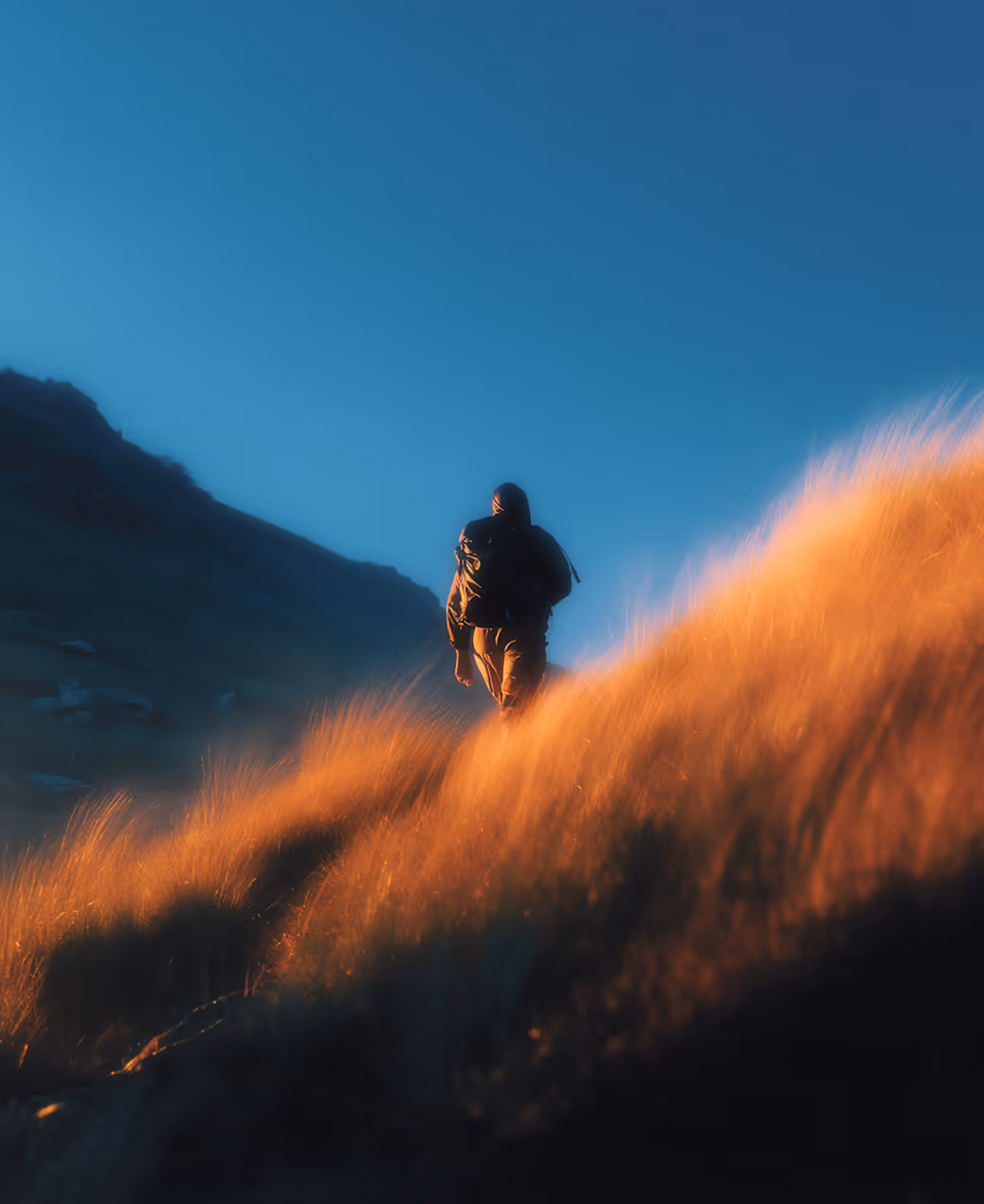 A lone person hiking upward on a grassy hill glowing in golden light under a clear blue sky.