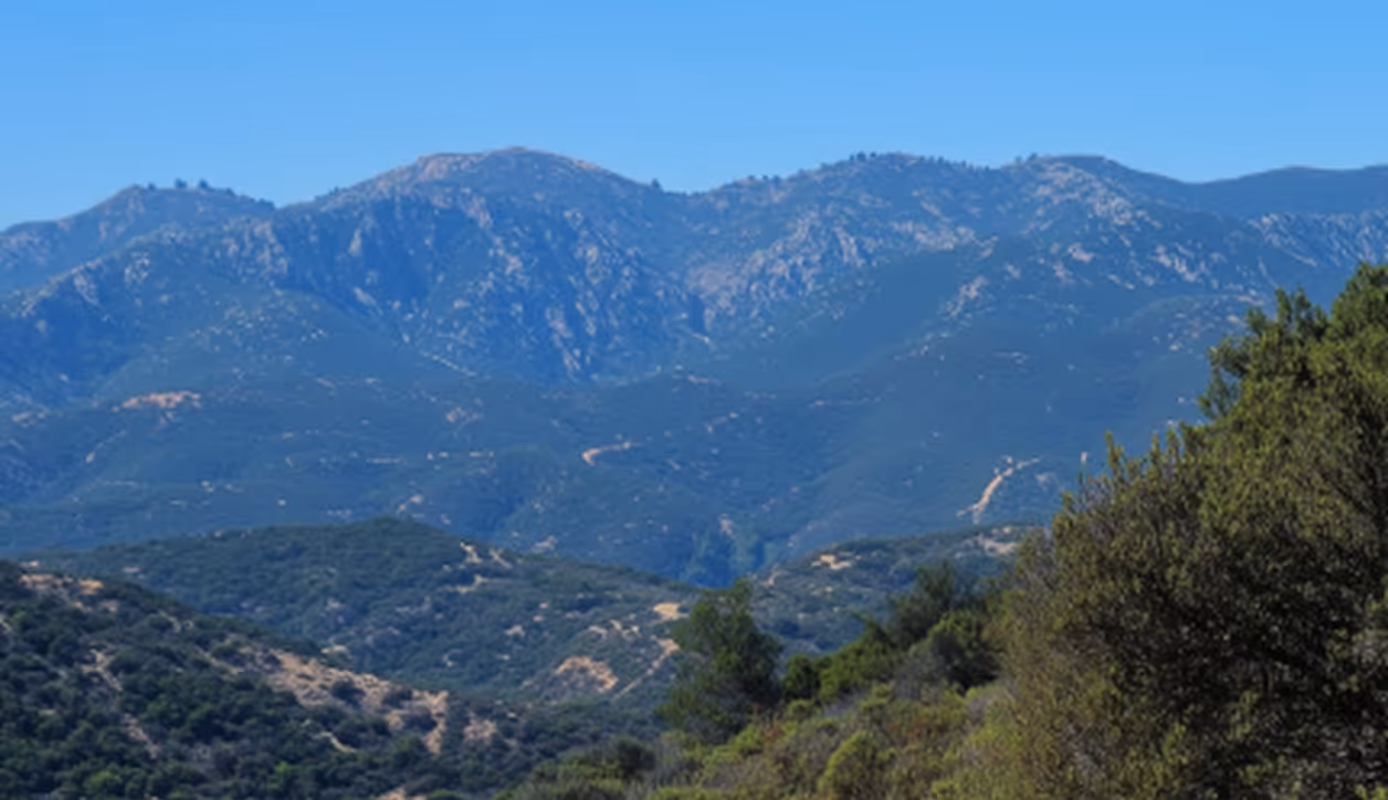 Mountain range with rocky peaks and green forested slopes under a clear blue sky.