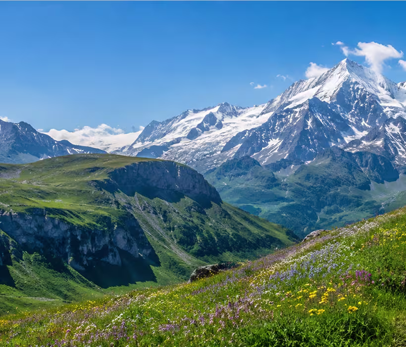 Snowy mountain peaks with green hills and wildflowers under a clear blue sky.