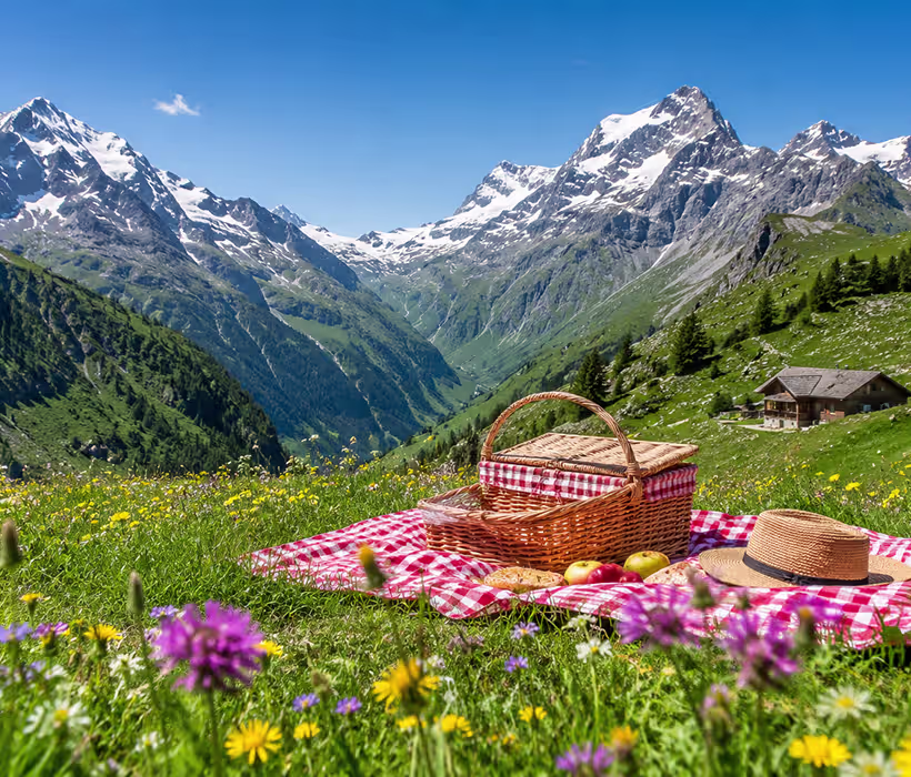 Family enjoying picnic with alpine meadow views