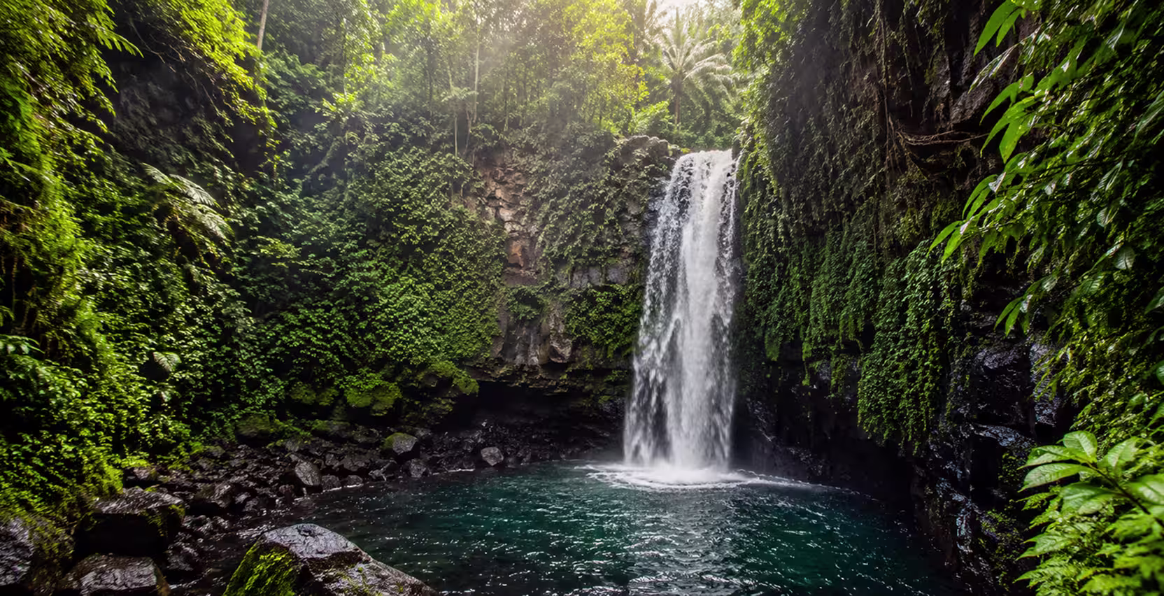 Waterfall surrounded by tropical jungle in Bali