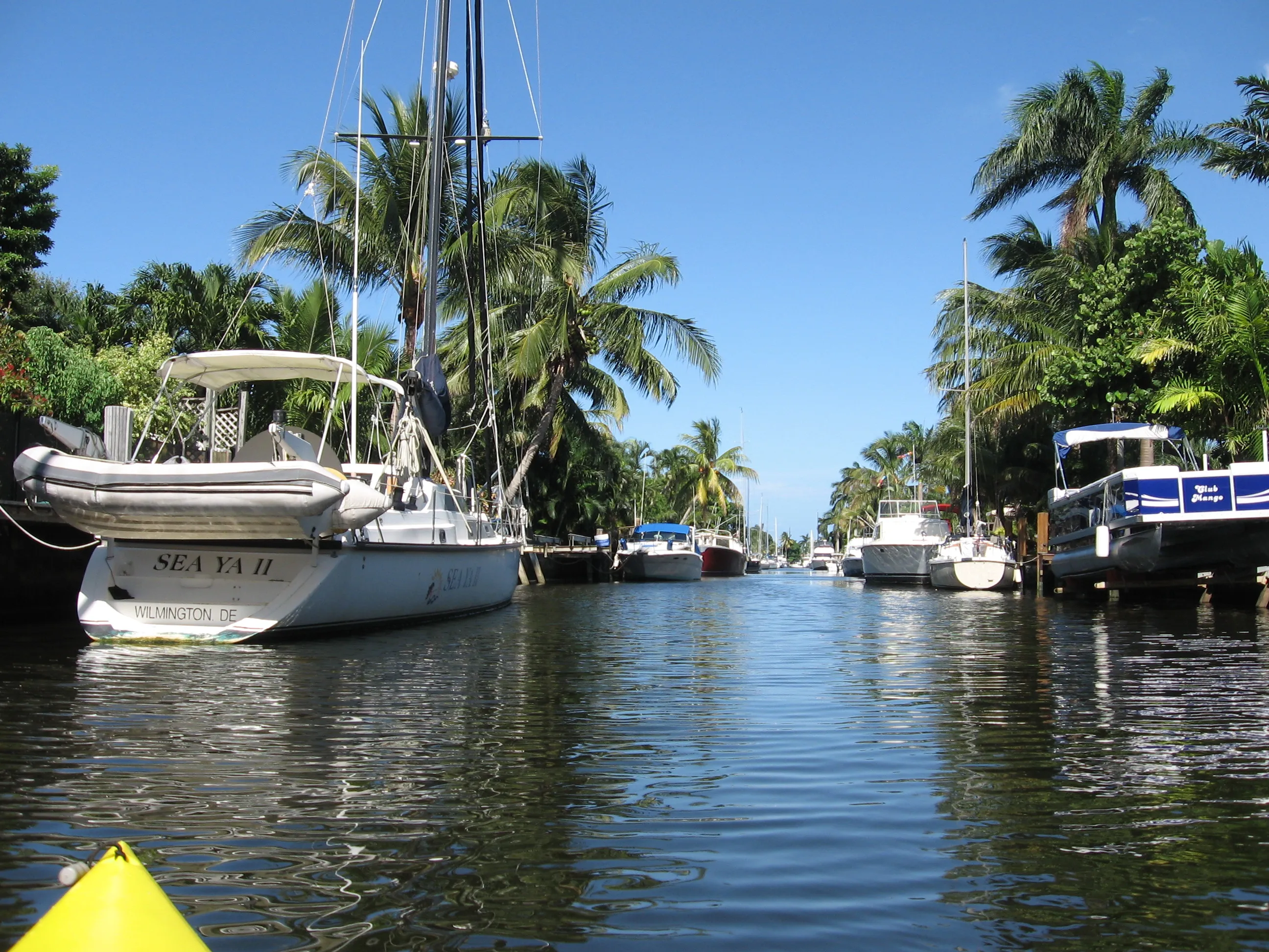 Citrus Isle canal in River Oaks, Fort Lauderdale