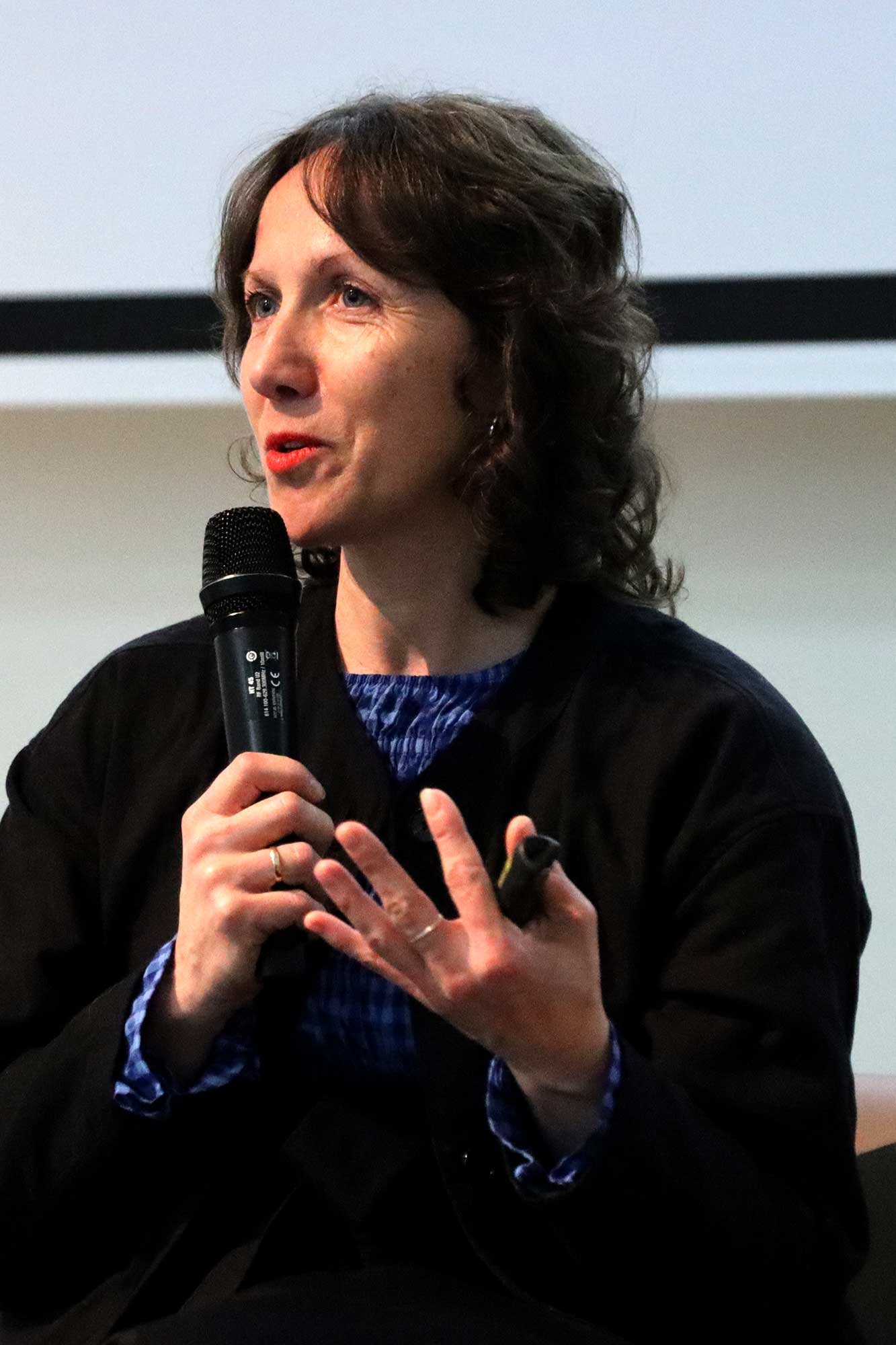 Talk by Katarzyna Matul