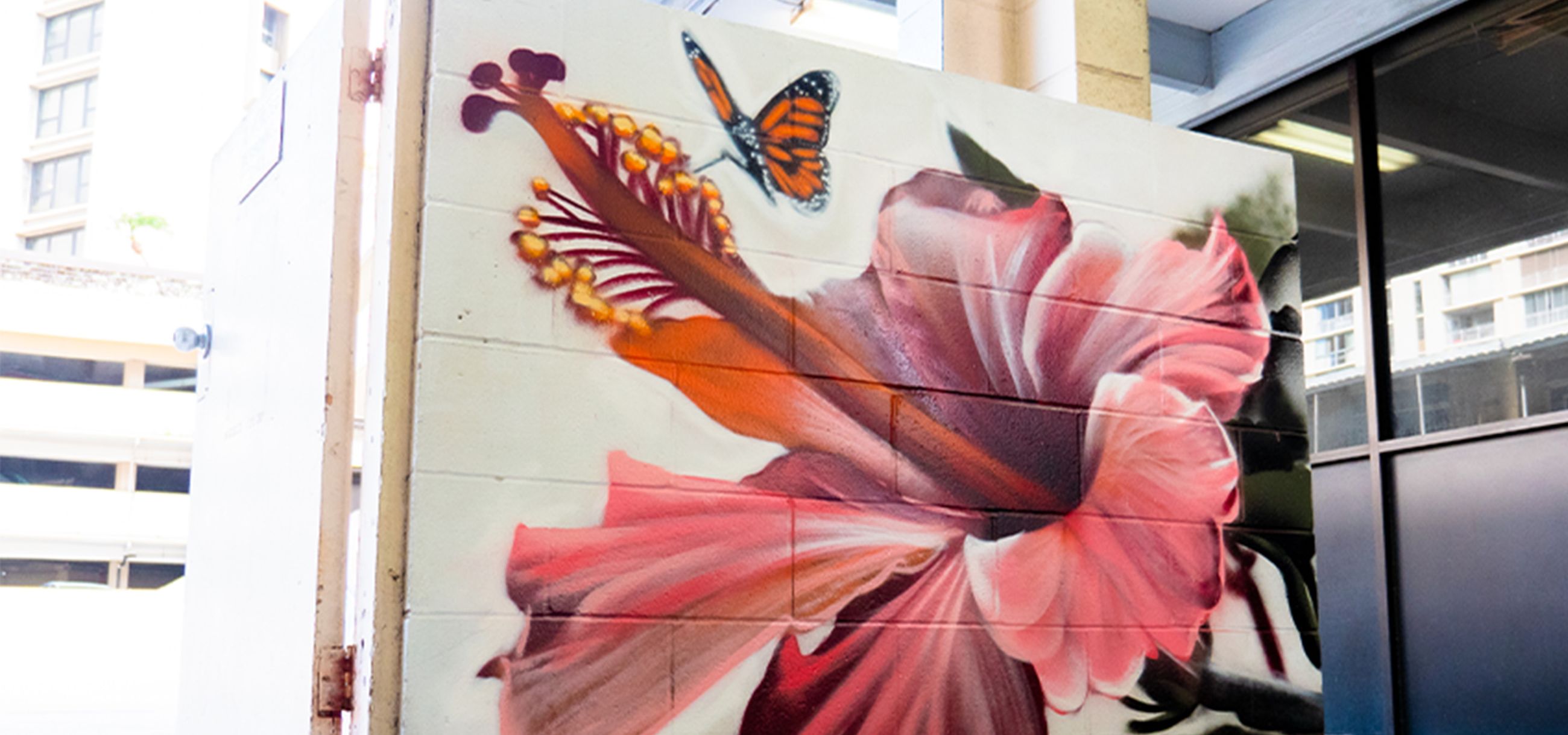 YMCA Hibiscus
